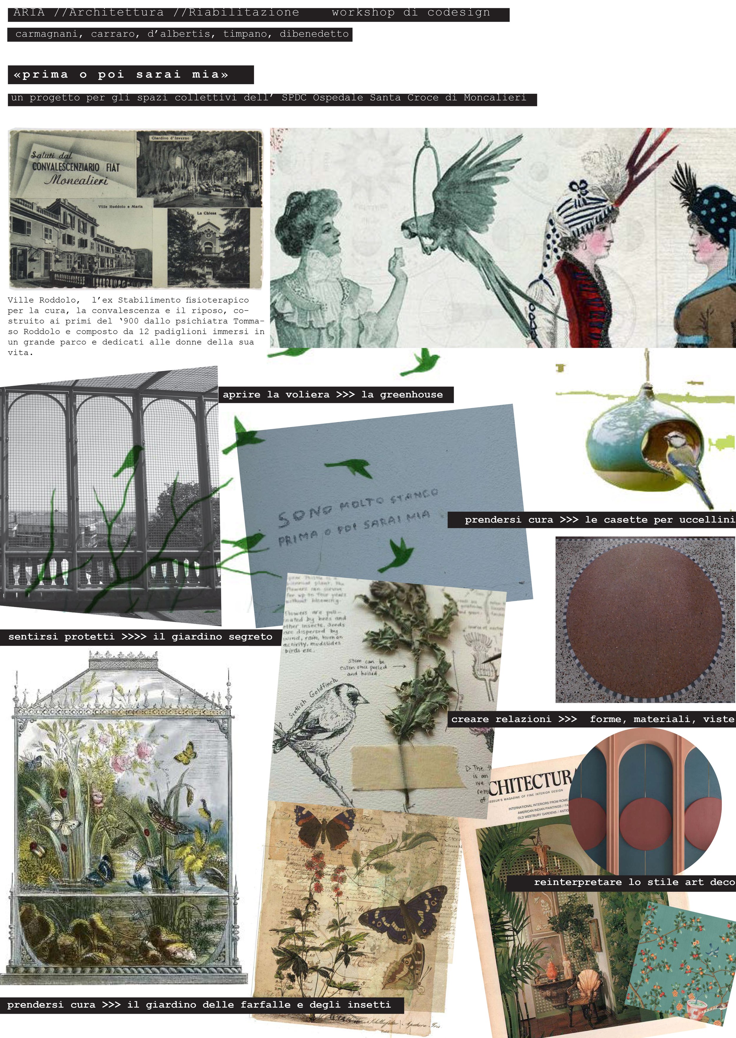 moodboard 1_elena-1.jpg