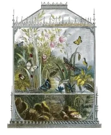 immagine concept.jpg