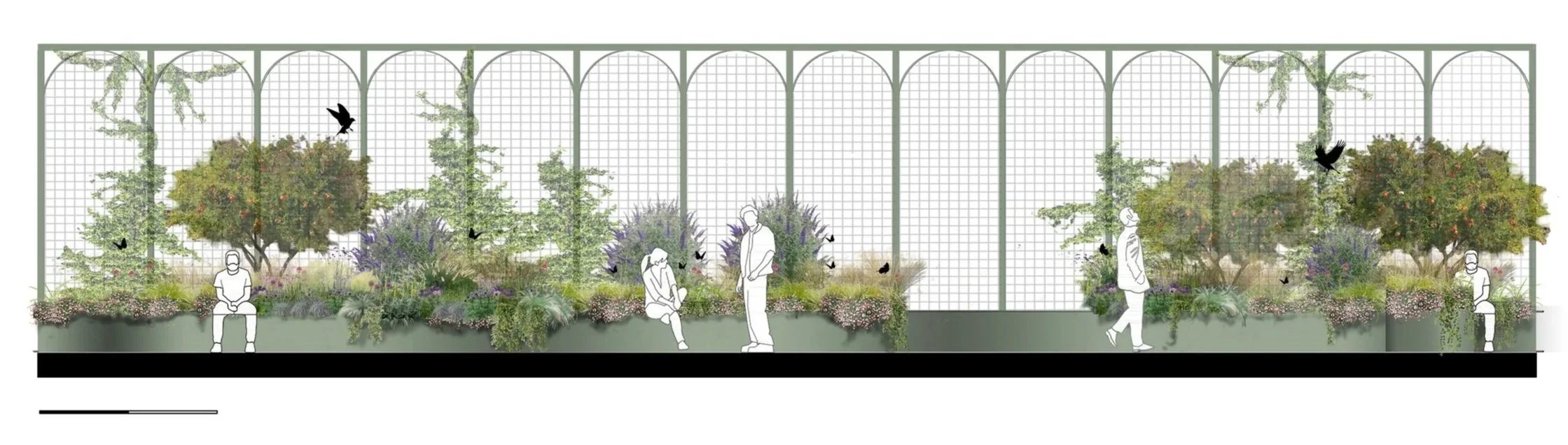 prospetto terrazzo.jpg