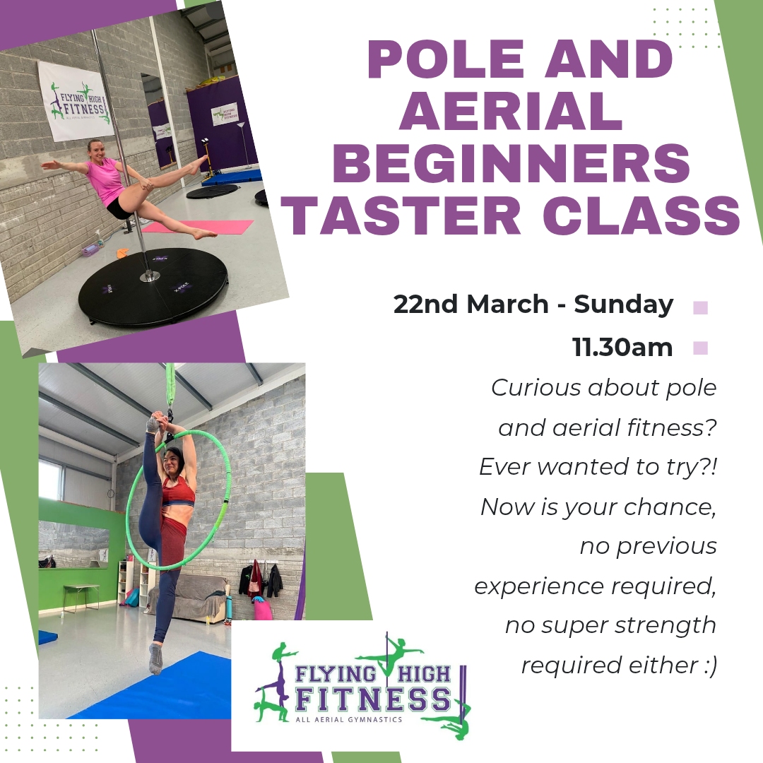 Pole and Aerial Taster Class Limerick 