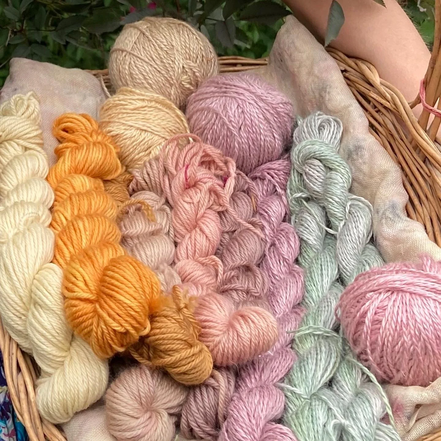 wool dyed with foraged materials