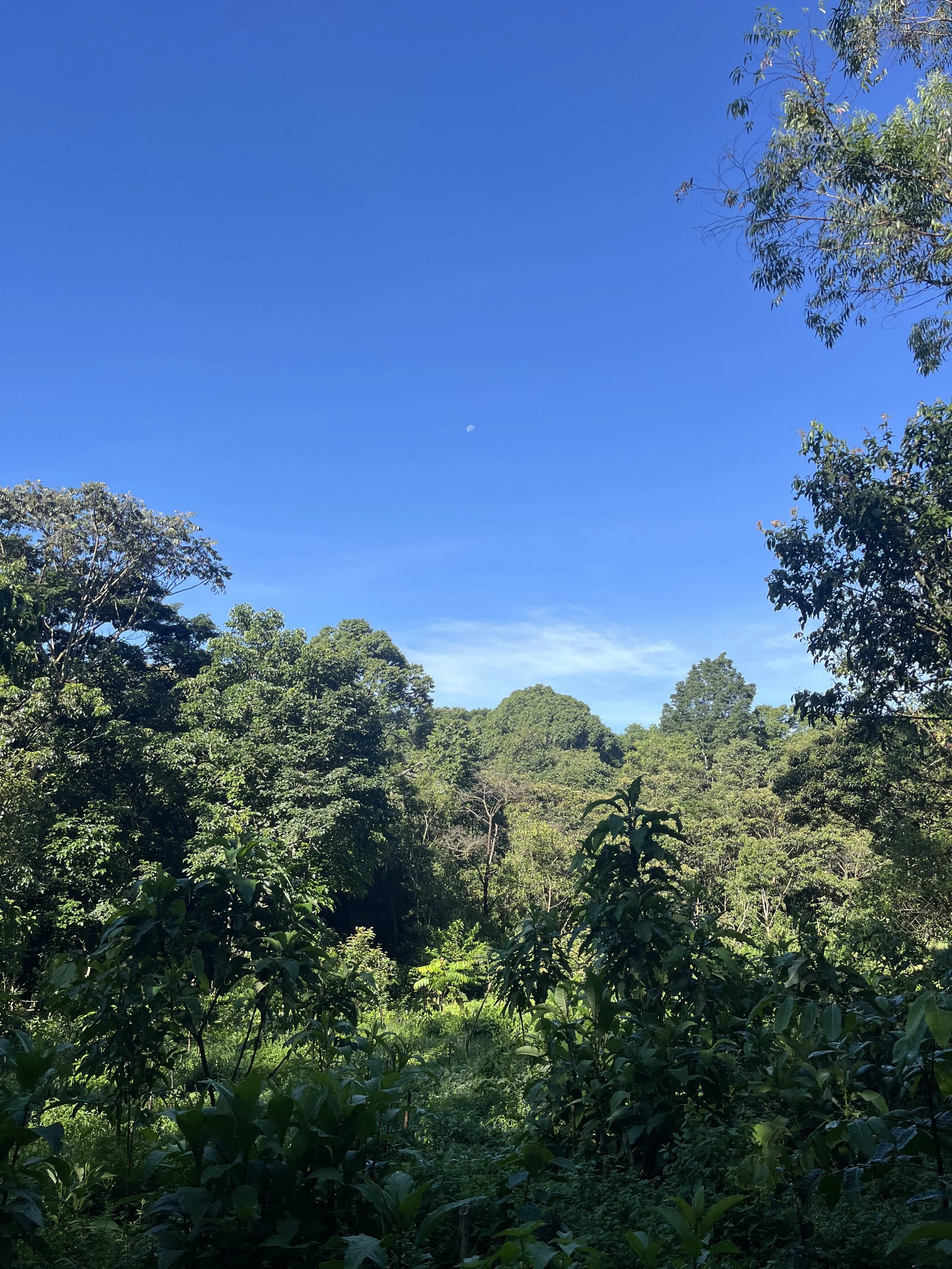 IMG_7757.jpeg