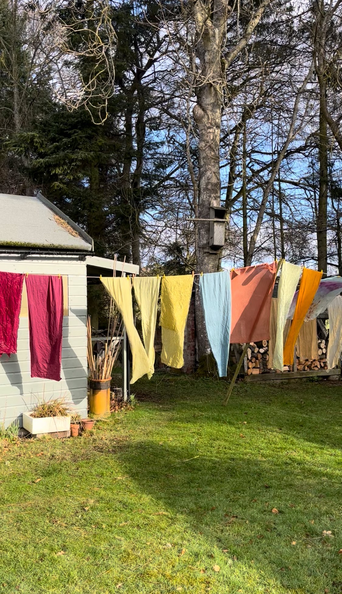naturally dyed silk and muslin drying on the line