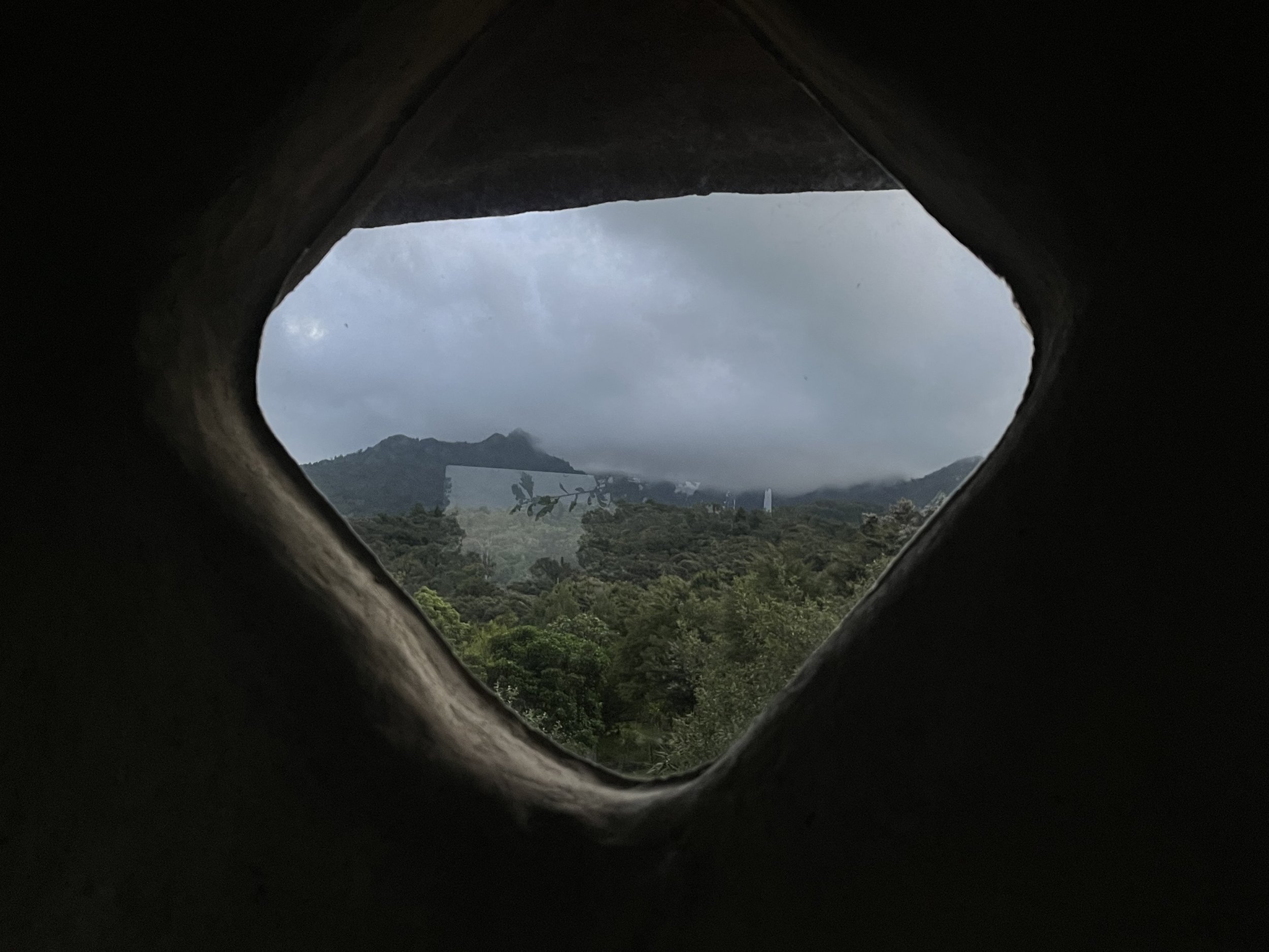 IMG_6547.jpeg