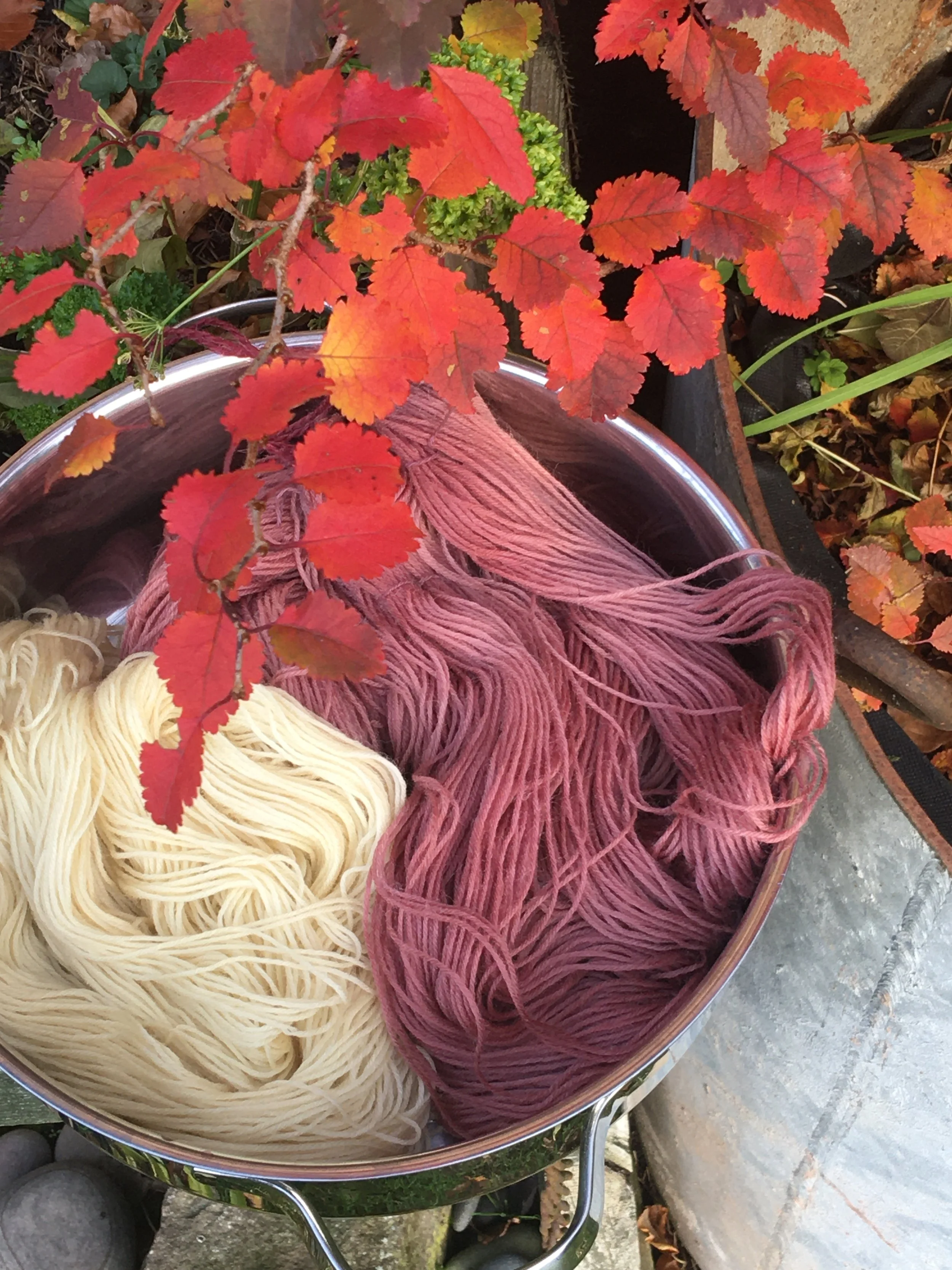 wool dyed with aronia berries 