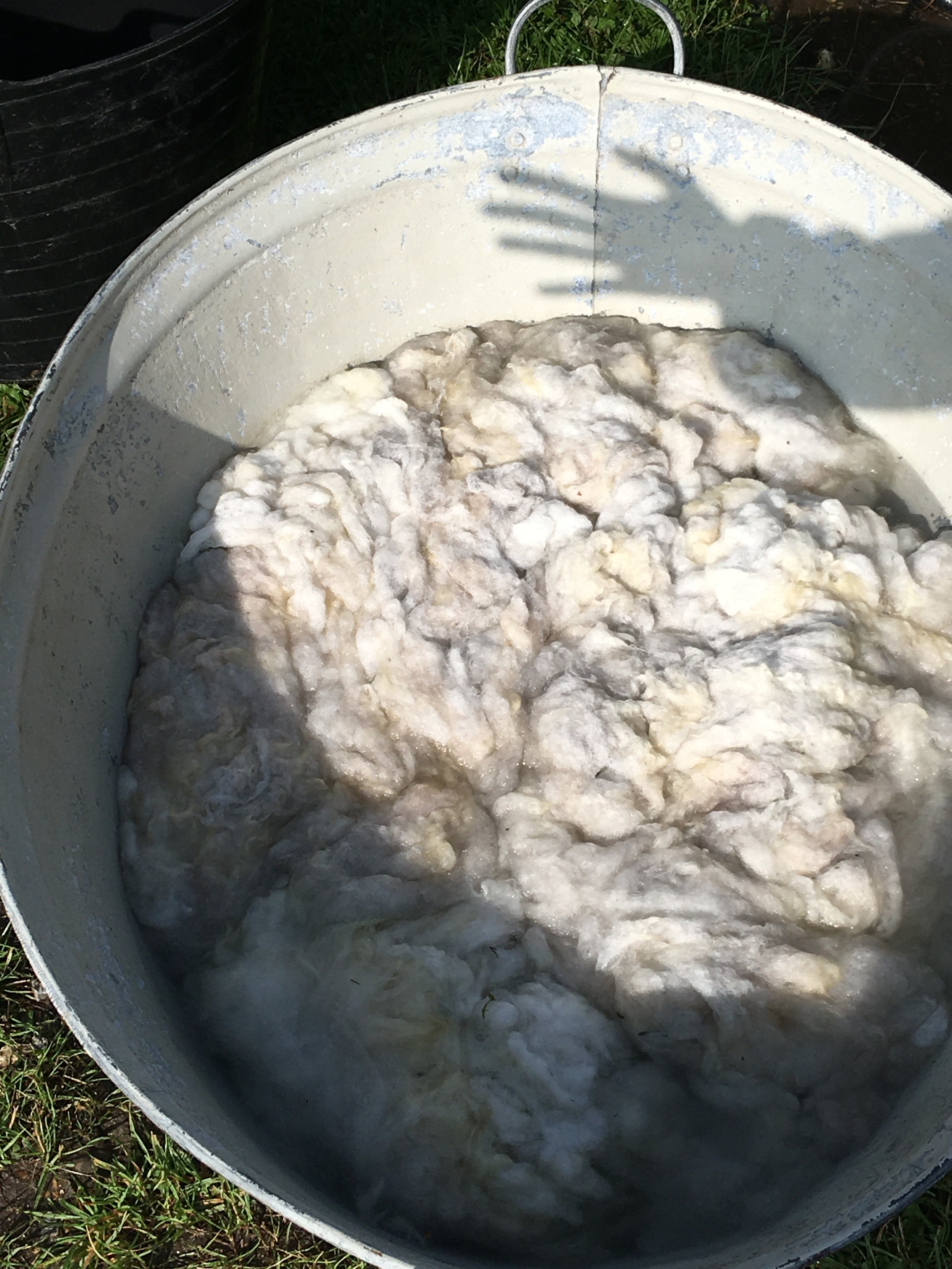 washing fleece before processing