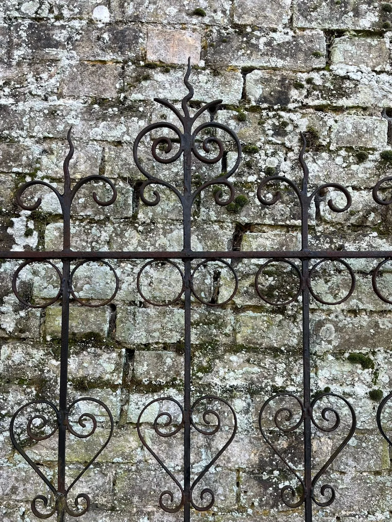 WhatsApp Image 2026-06-24 at 11.24.21 (4).jpeg