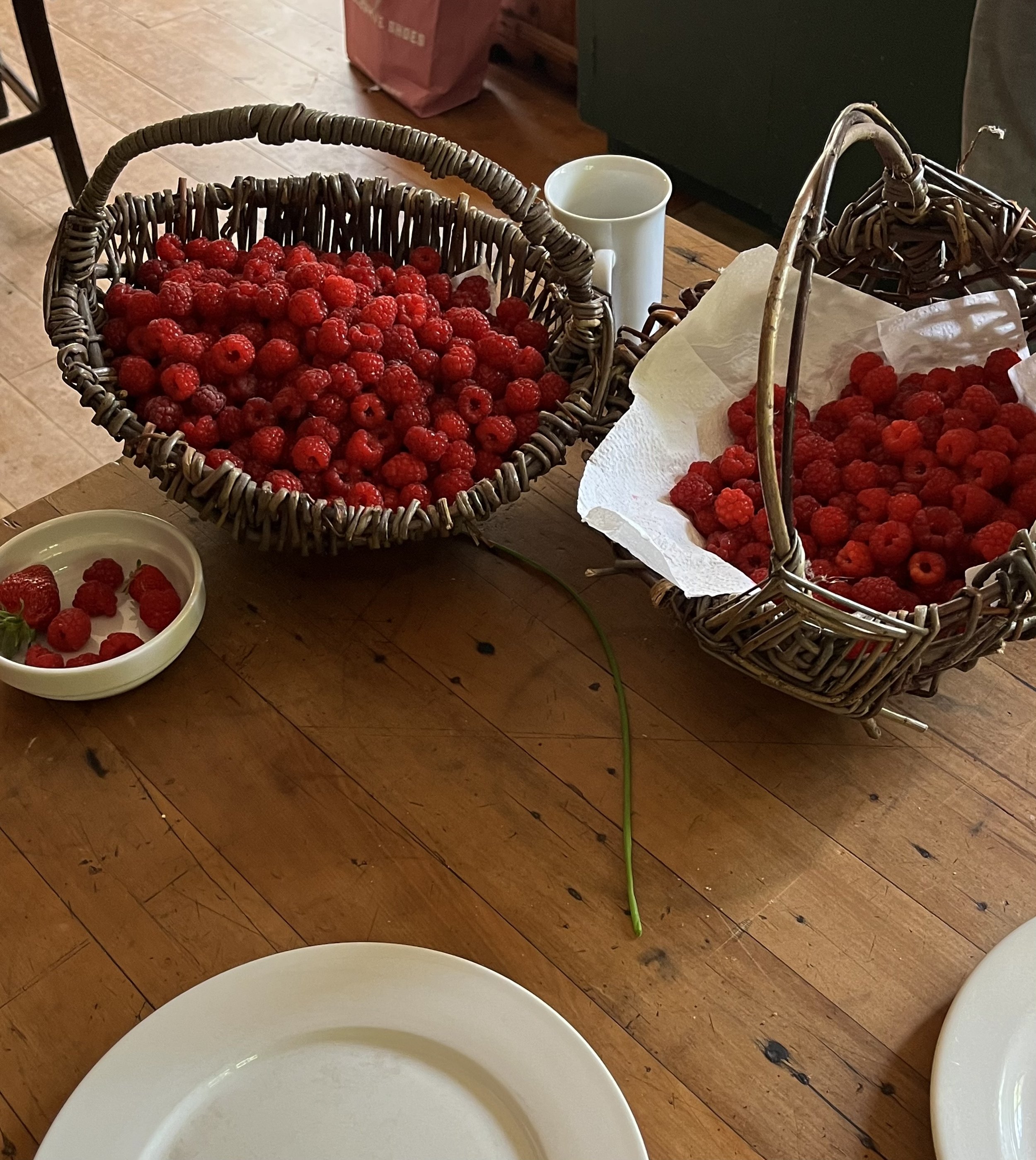 IMG_6021.jpeg