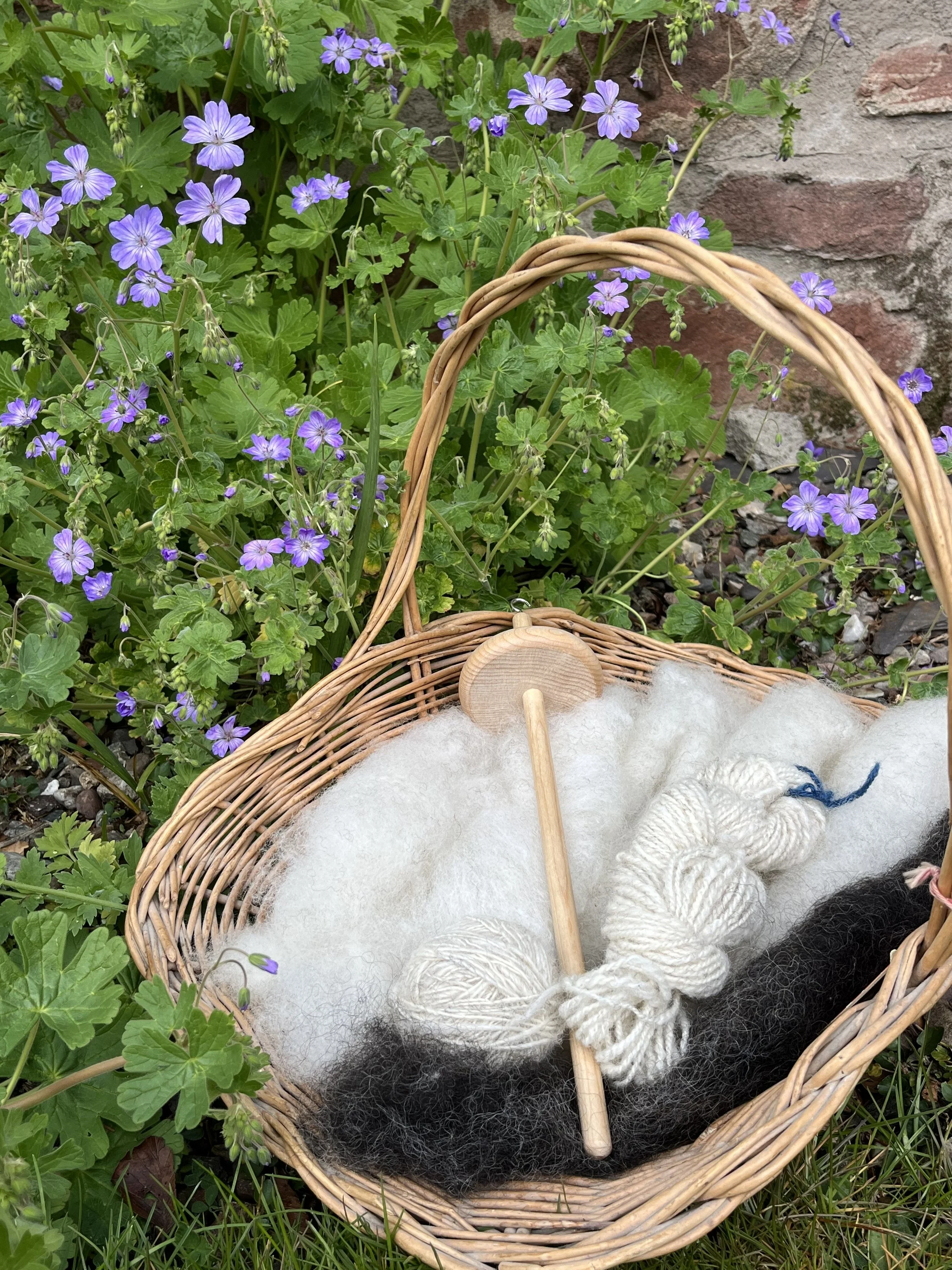 carded and spun Southdown and Hebridean fleece