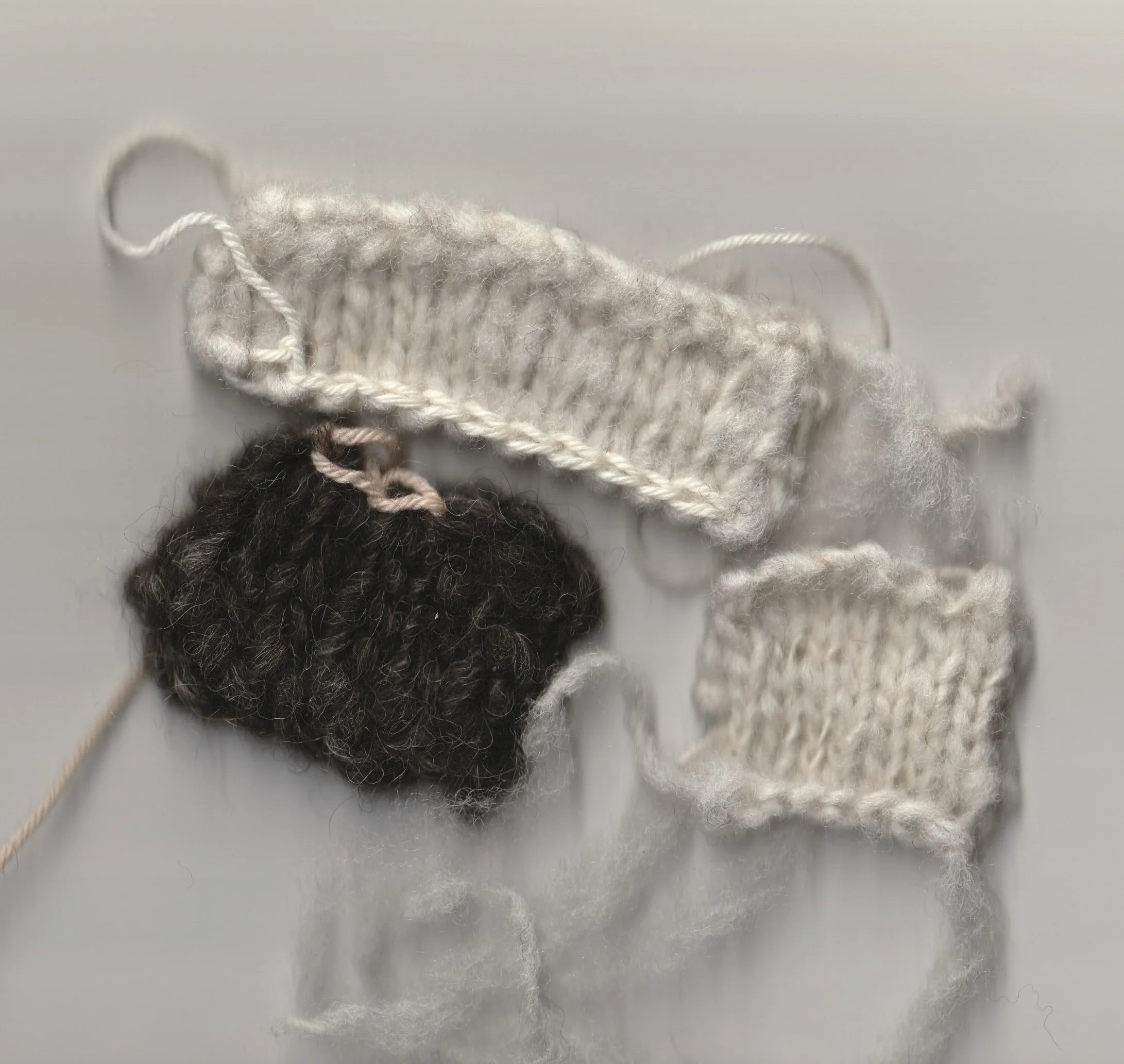 samples of hand spun southdown and hebridean fleece 