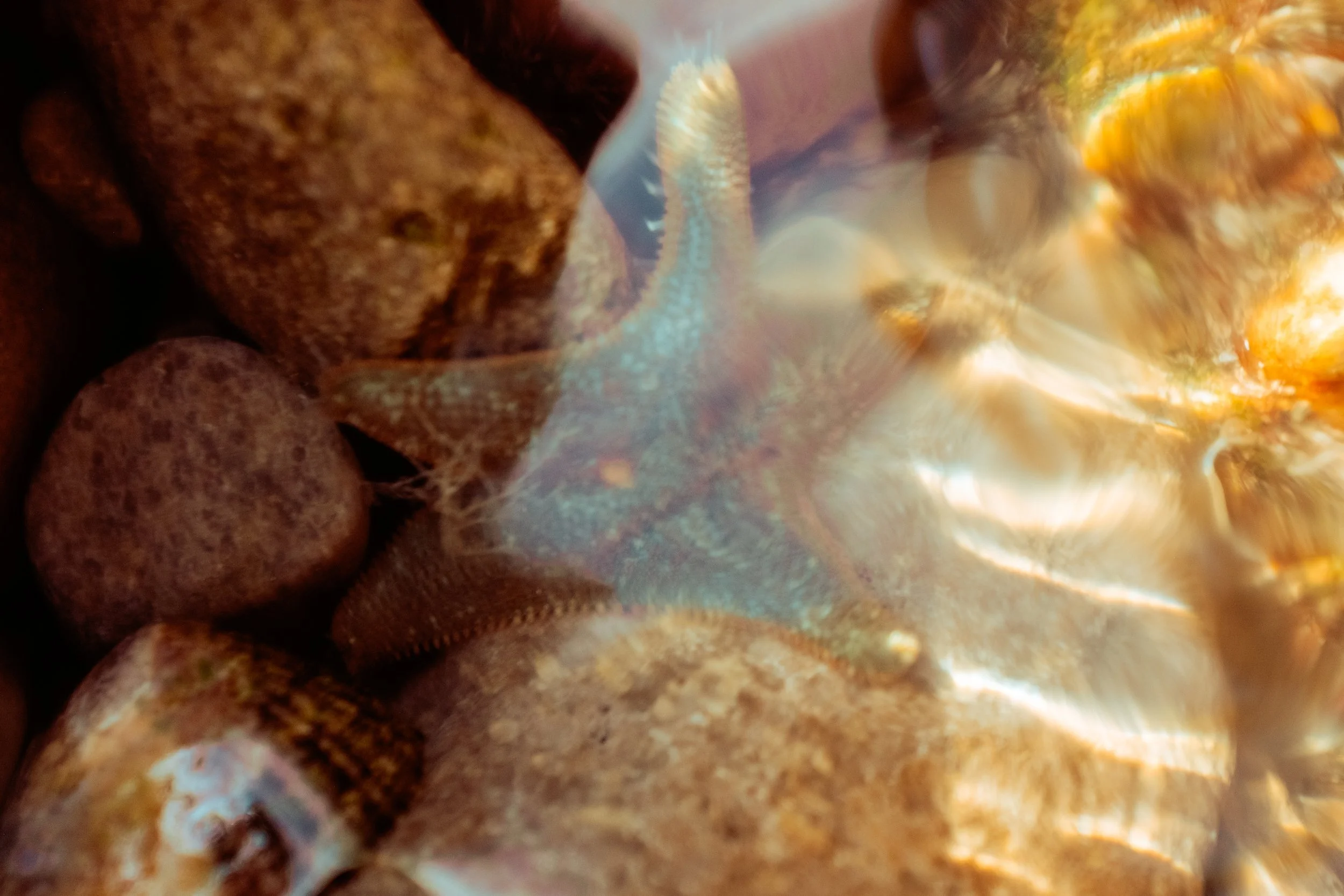 DSCF5705.jpg