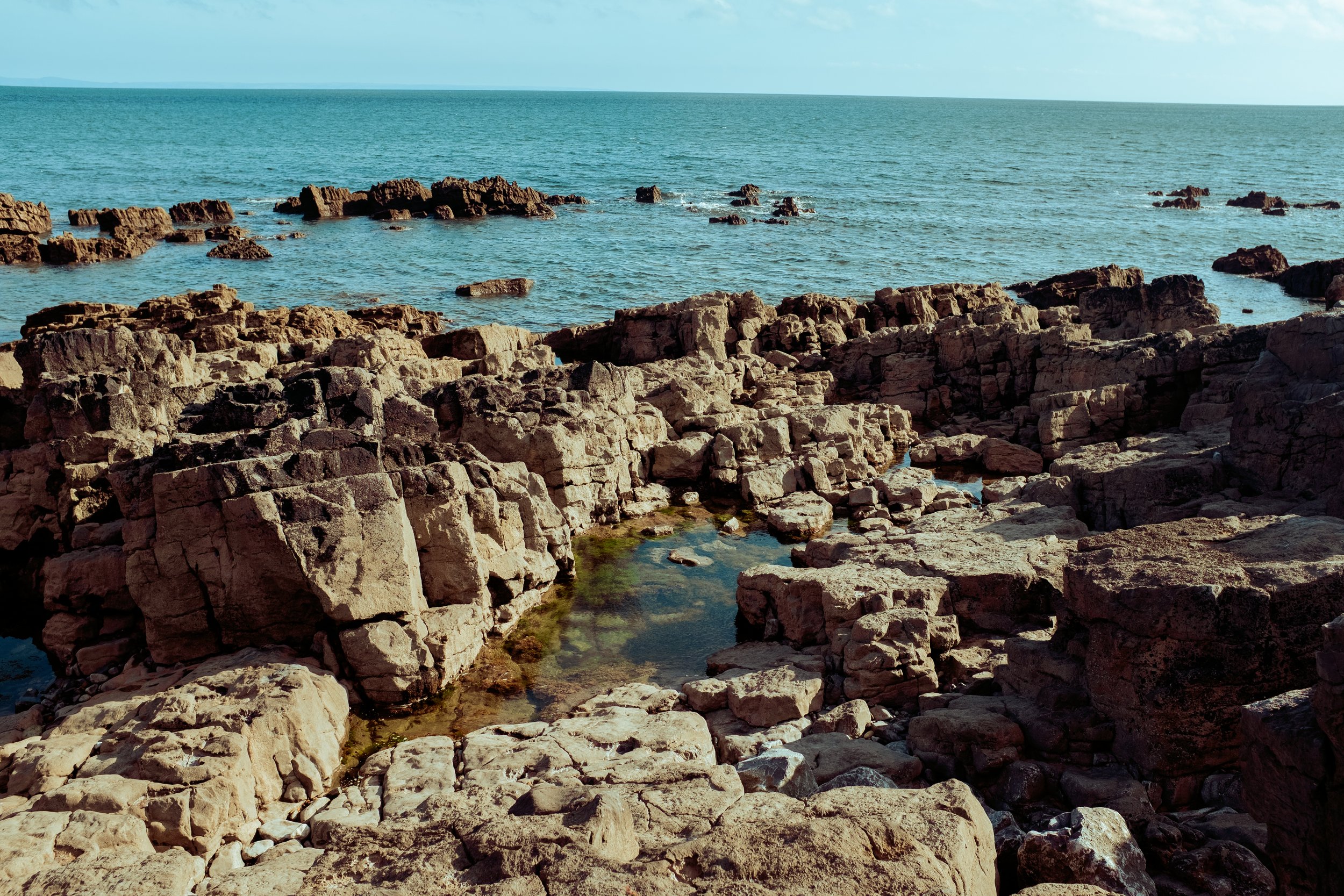 DSCF5691.jpg