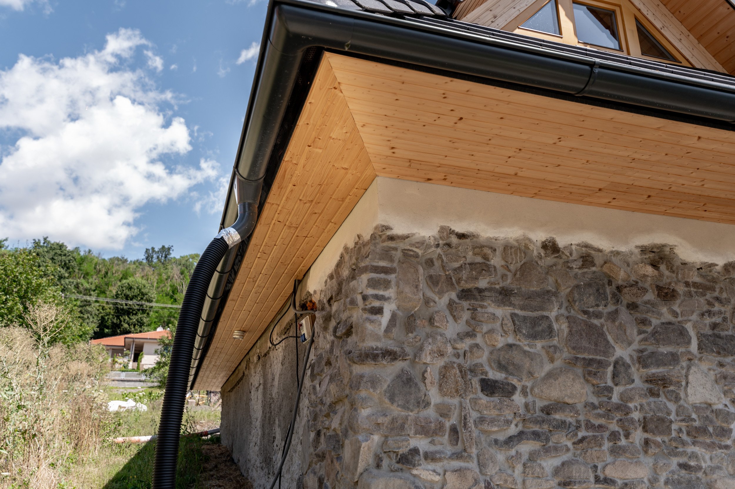 LMF_00386.jpg