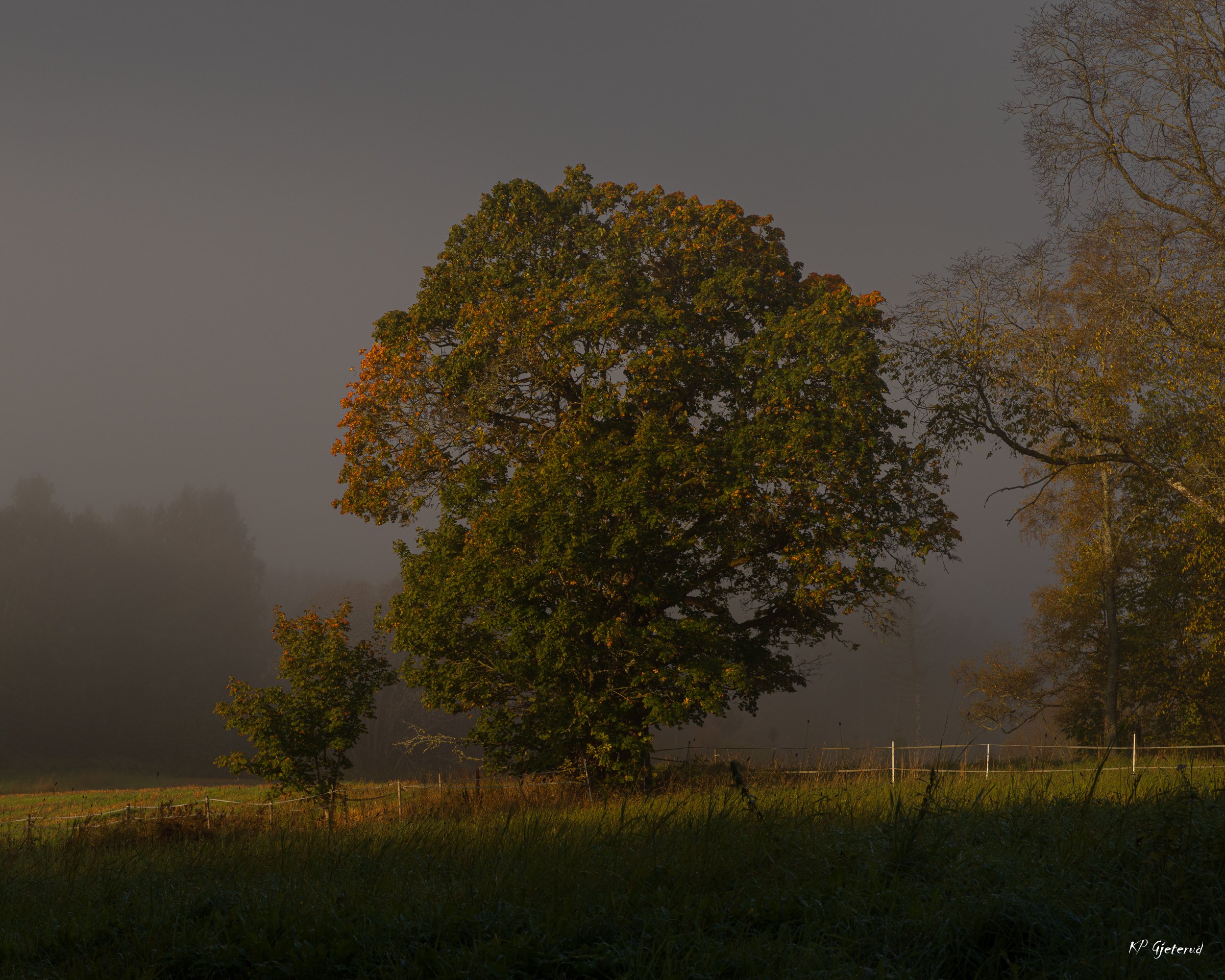 Indre Østfold okt 25-1.jpg