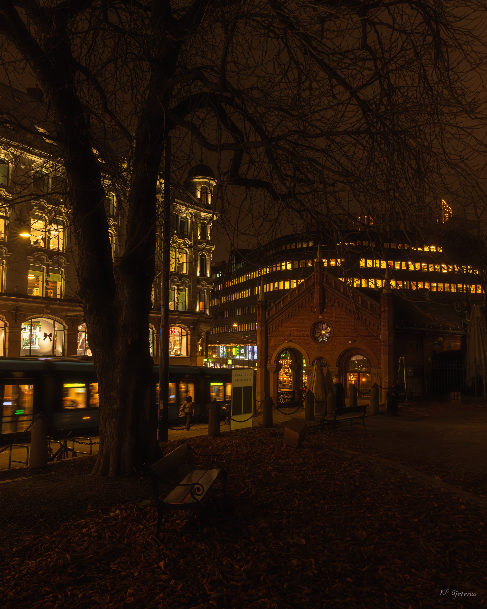 Oslo nov 2025.jpg