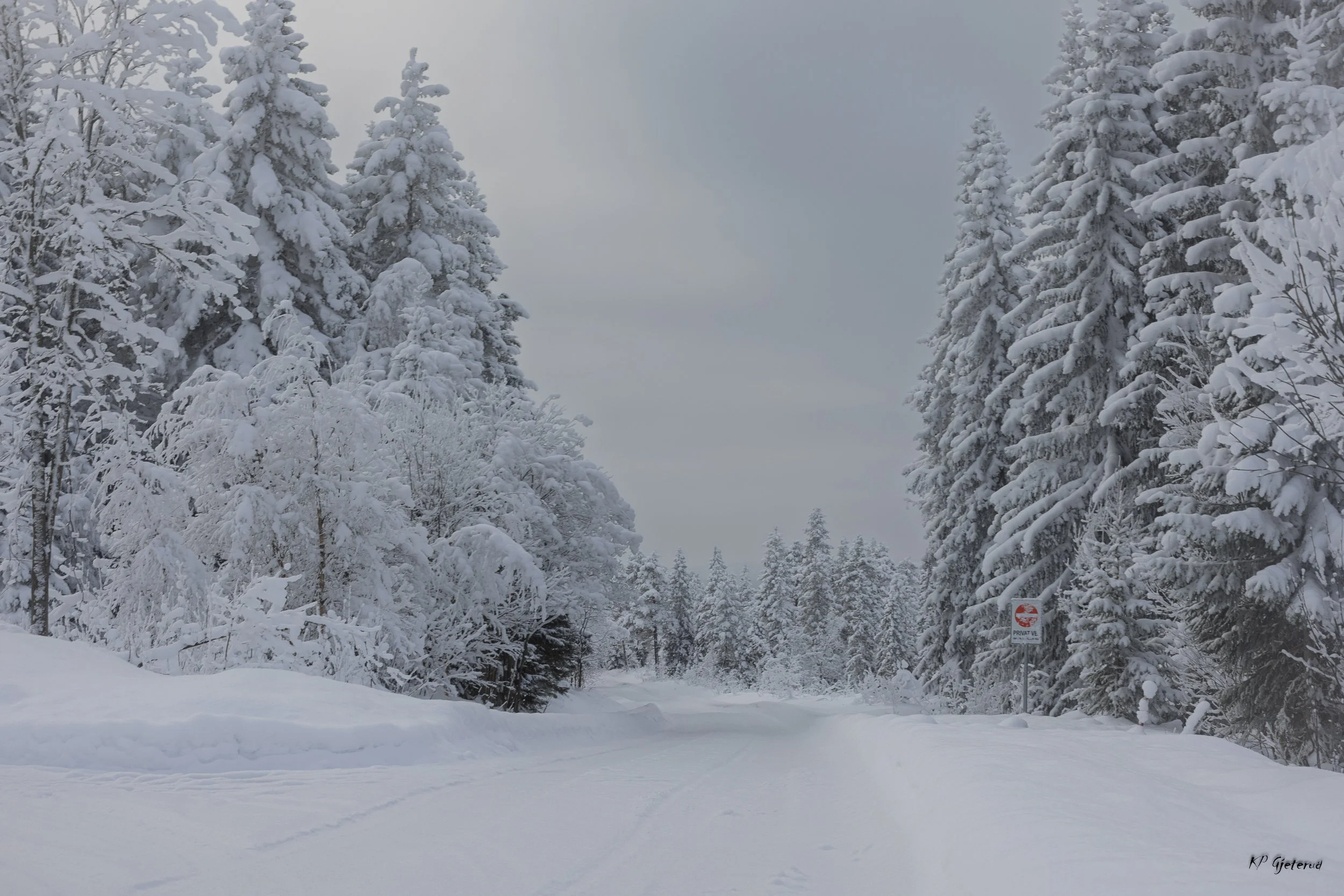 Til og fra Røros febr 2026-6.jpg
