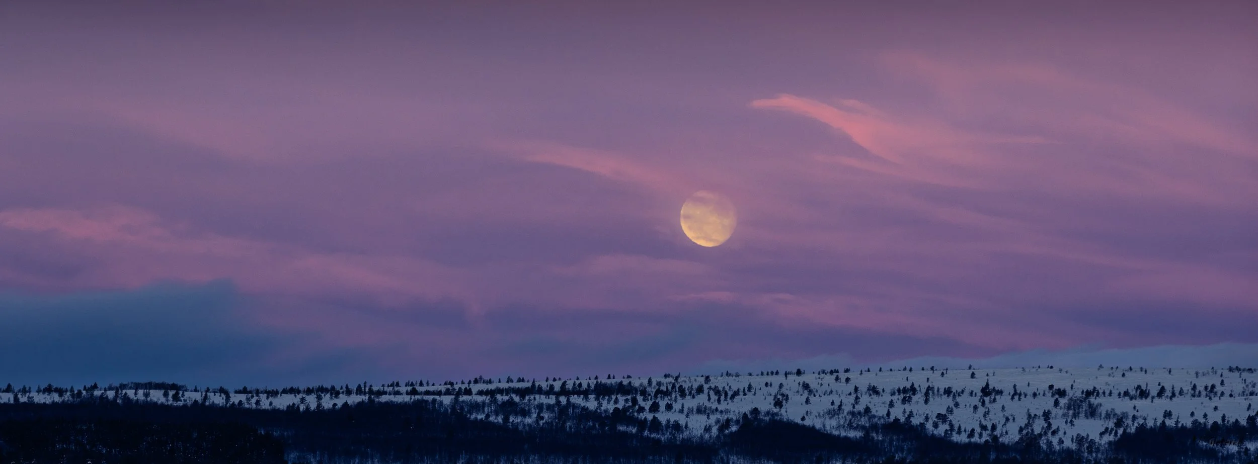 Golden hour Røros febr 2026-3.jpg