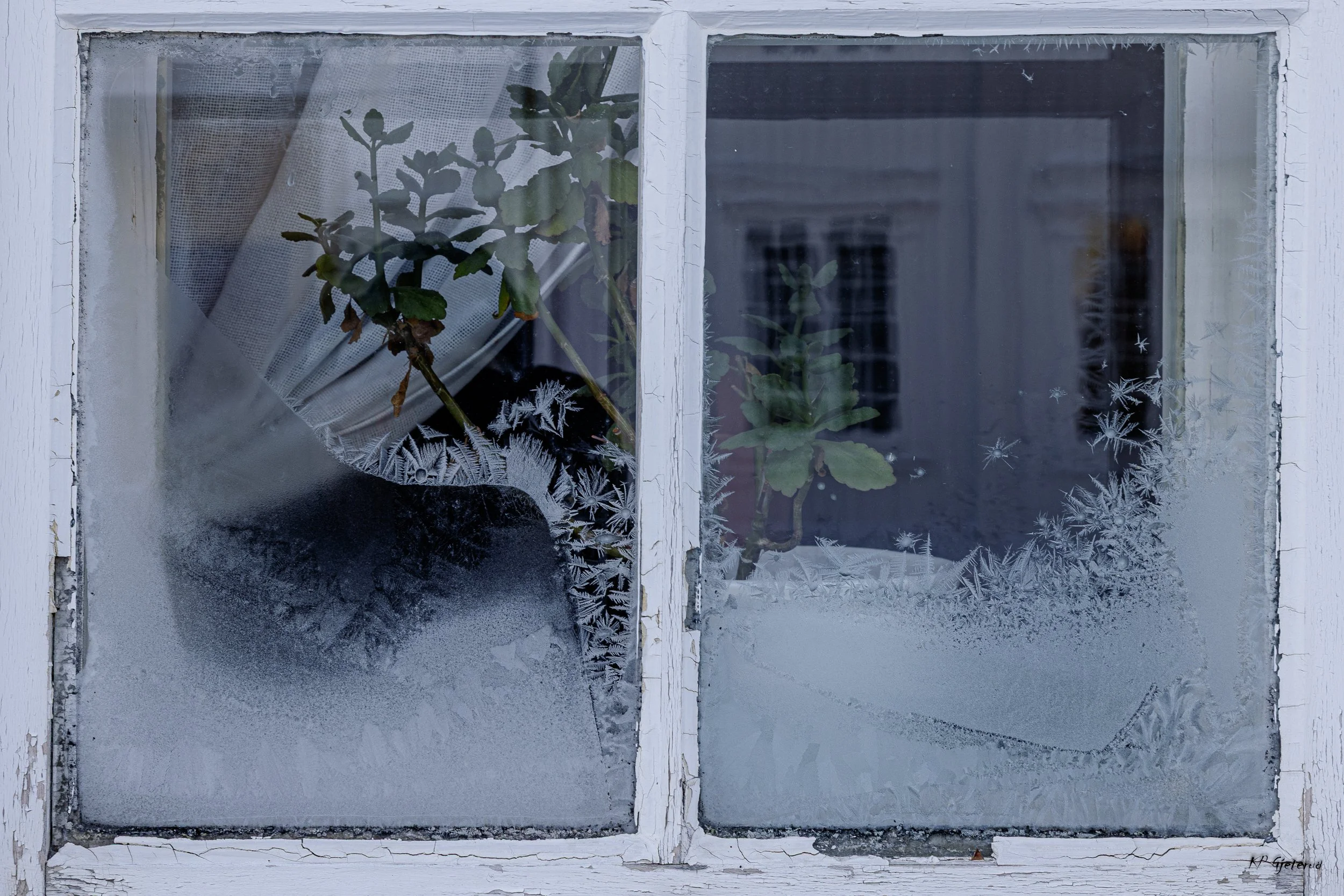 Dører og vinduer Røros febr 2026-6.jpg