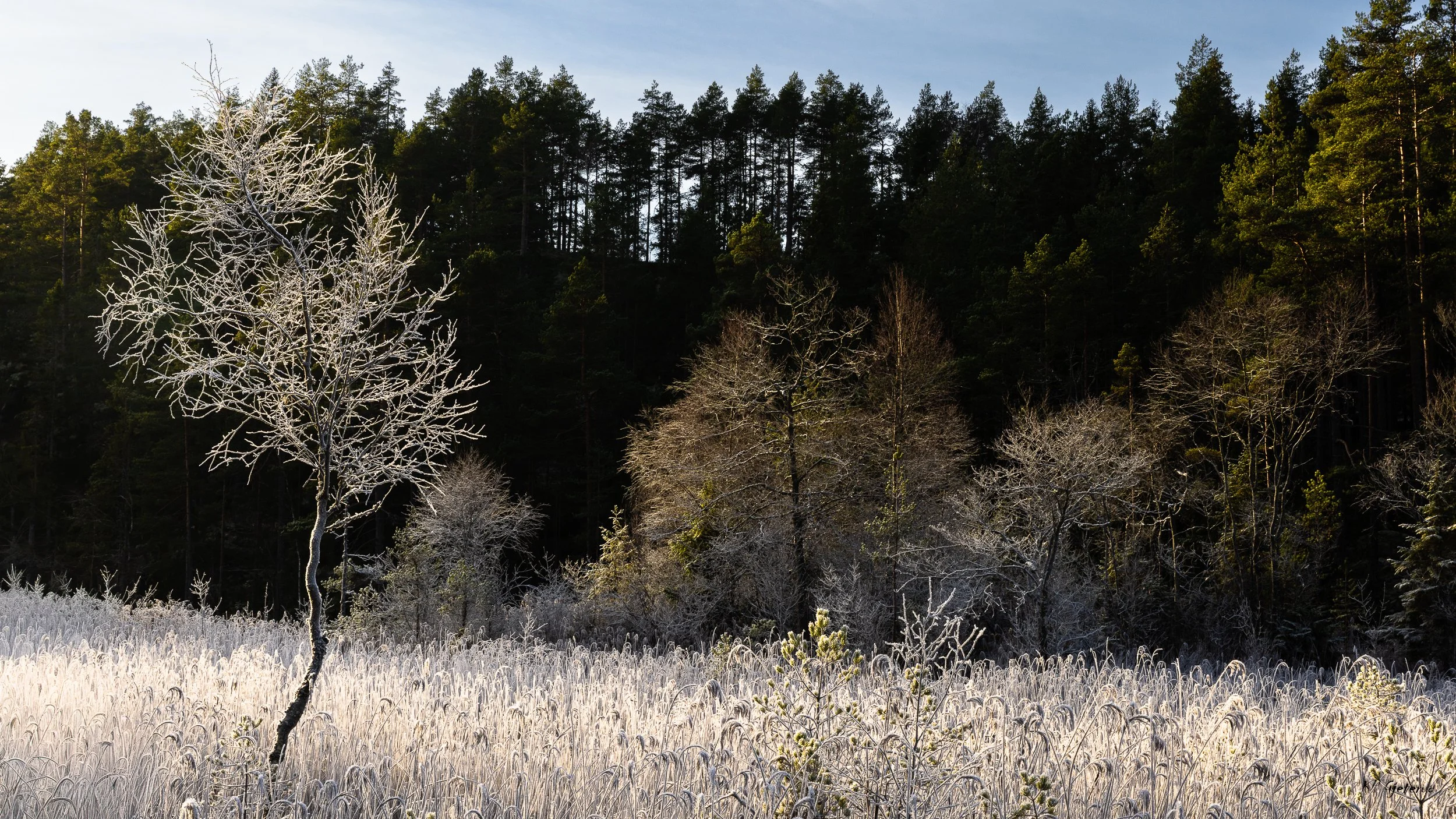 Freezing Conditions and Crystalline Detail