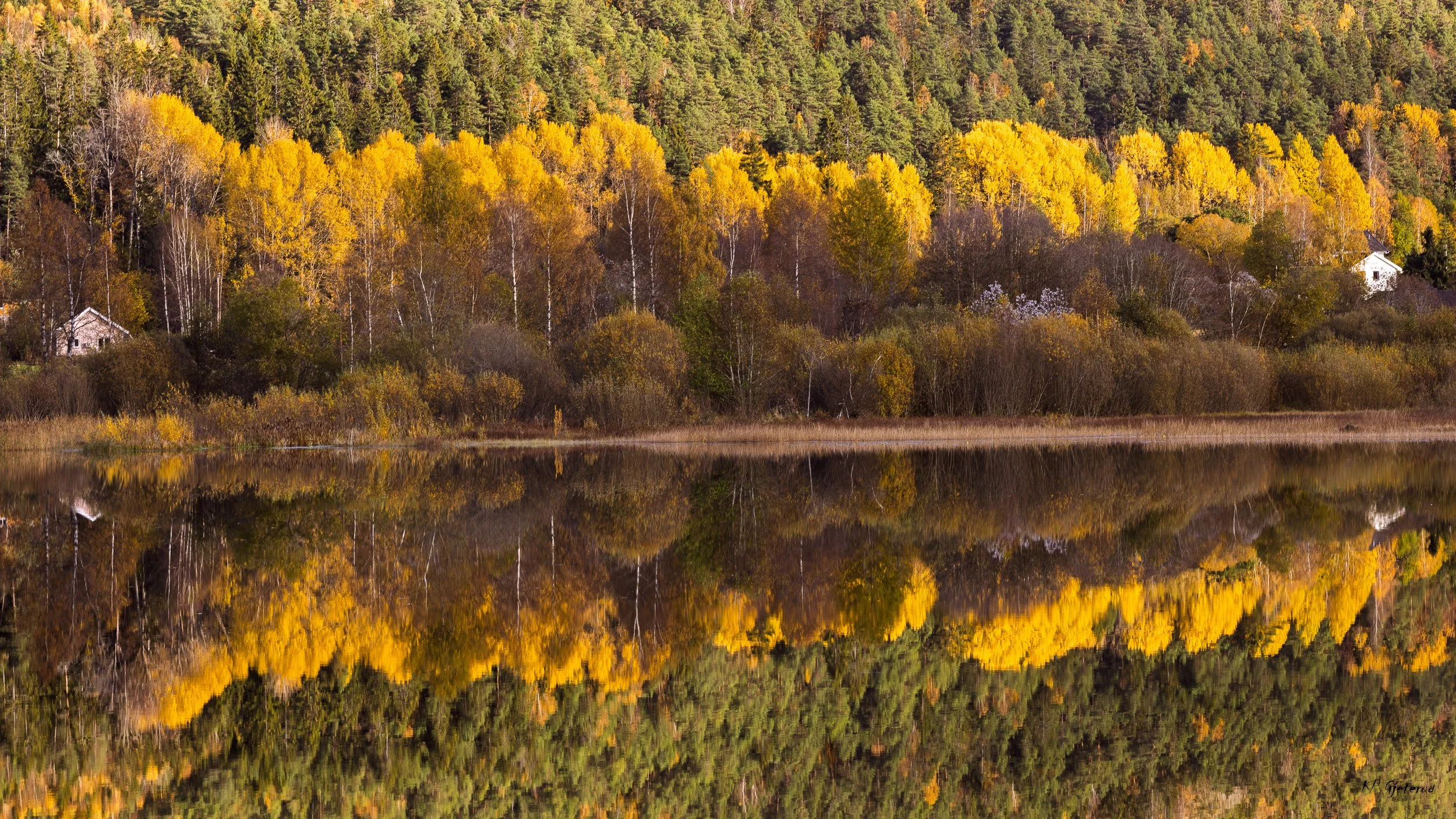 Autumn colours at home