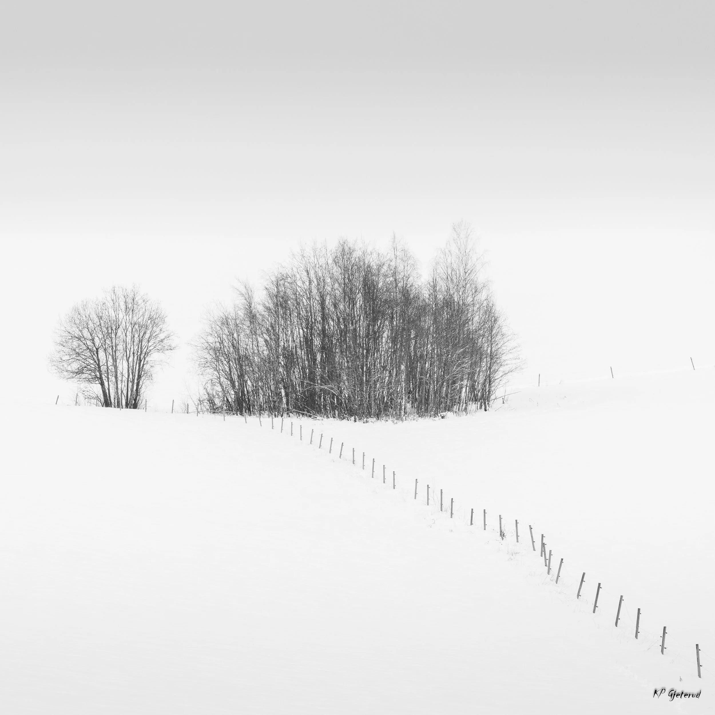 Winter photography around Nannestad