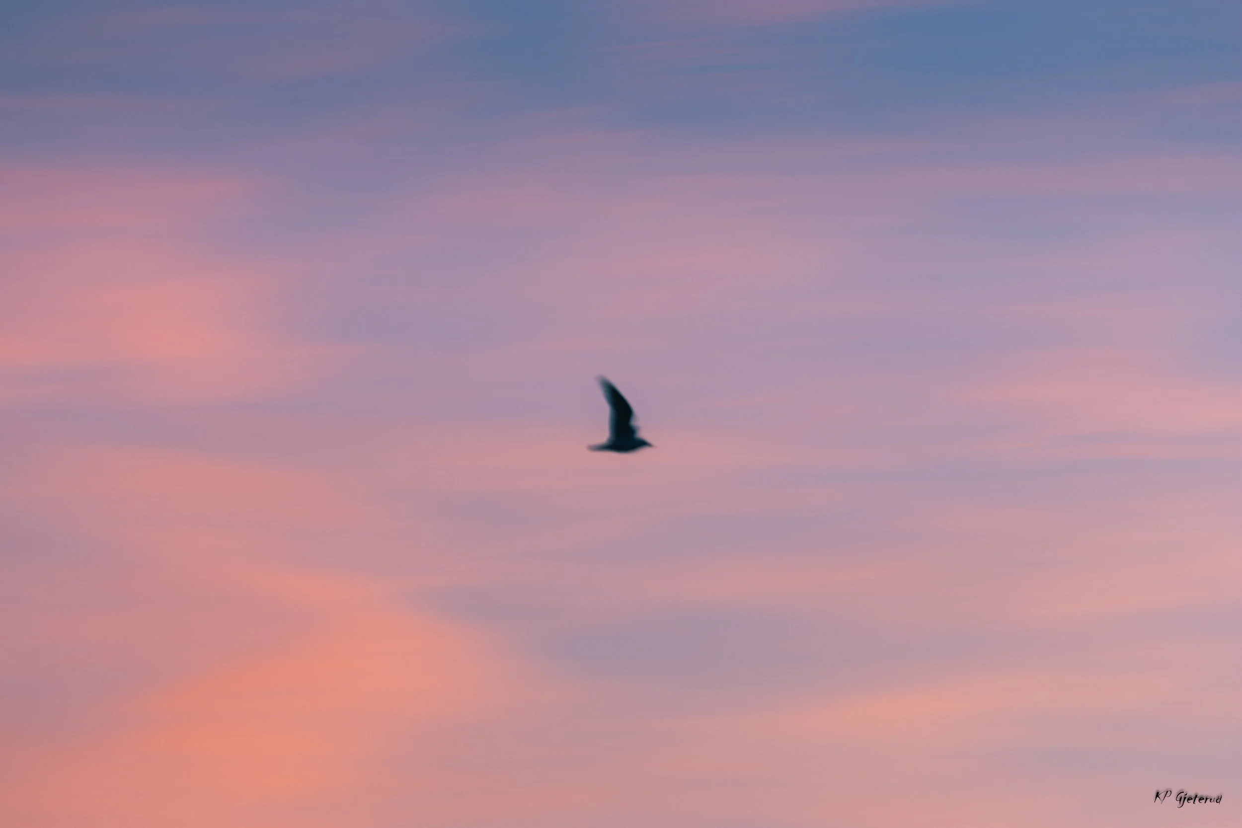 Hemnessjøen april 2026-1.jpg