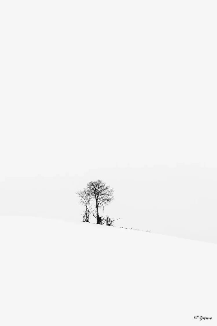 The Last of Snowy Landscapes