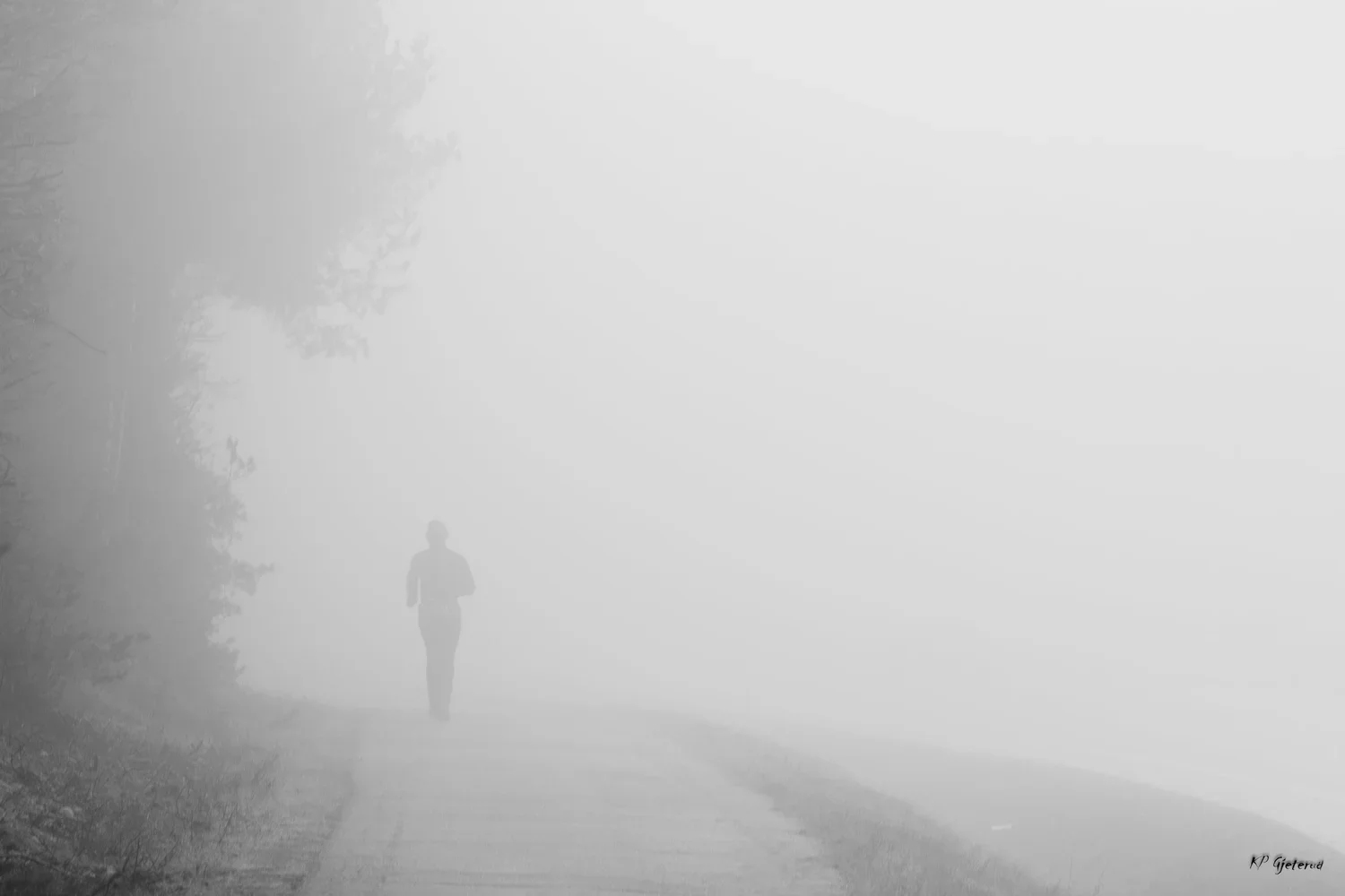 Fog