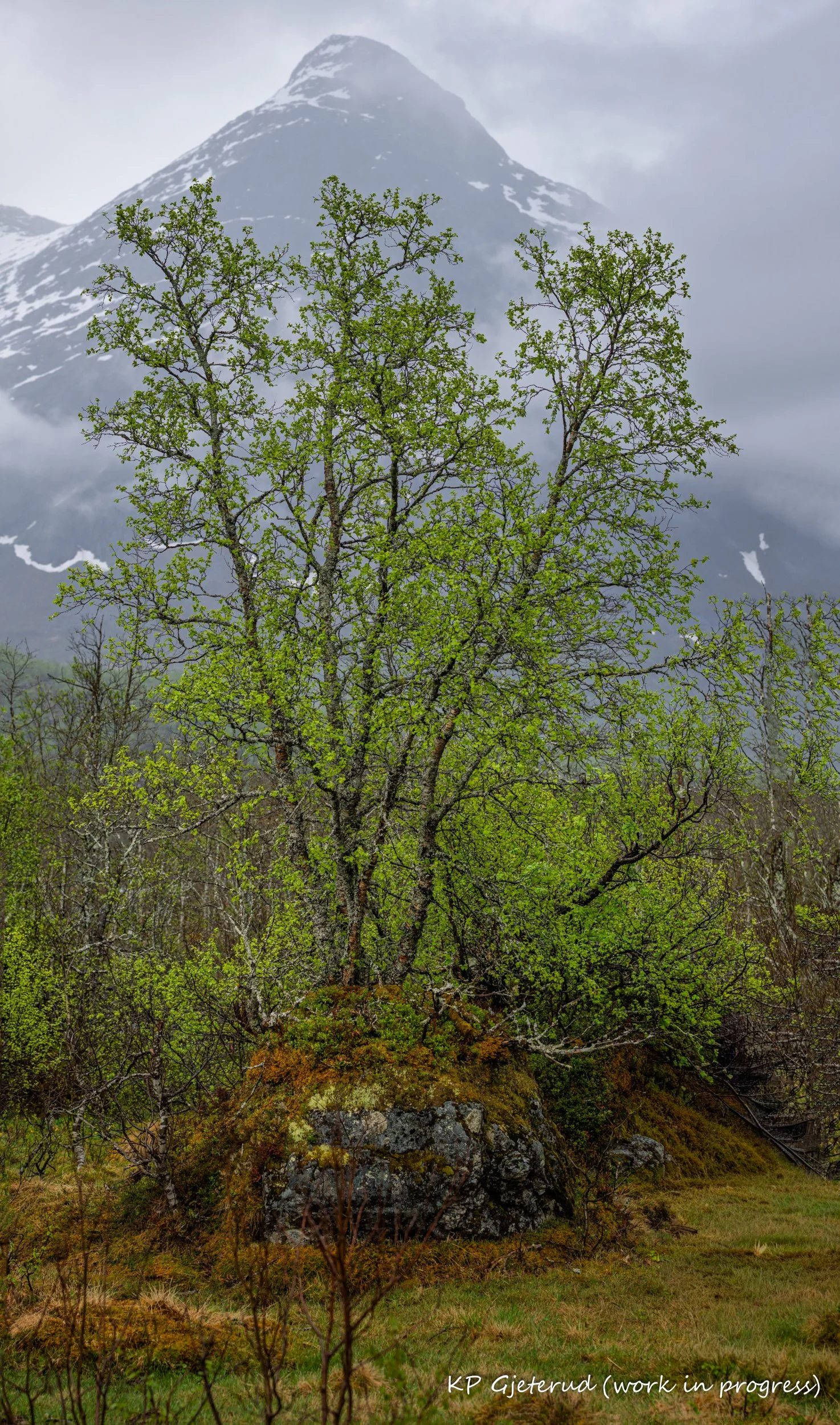 WS Skåre dag 3 mai 2026-8.jpg