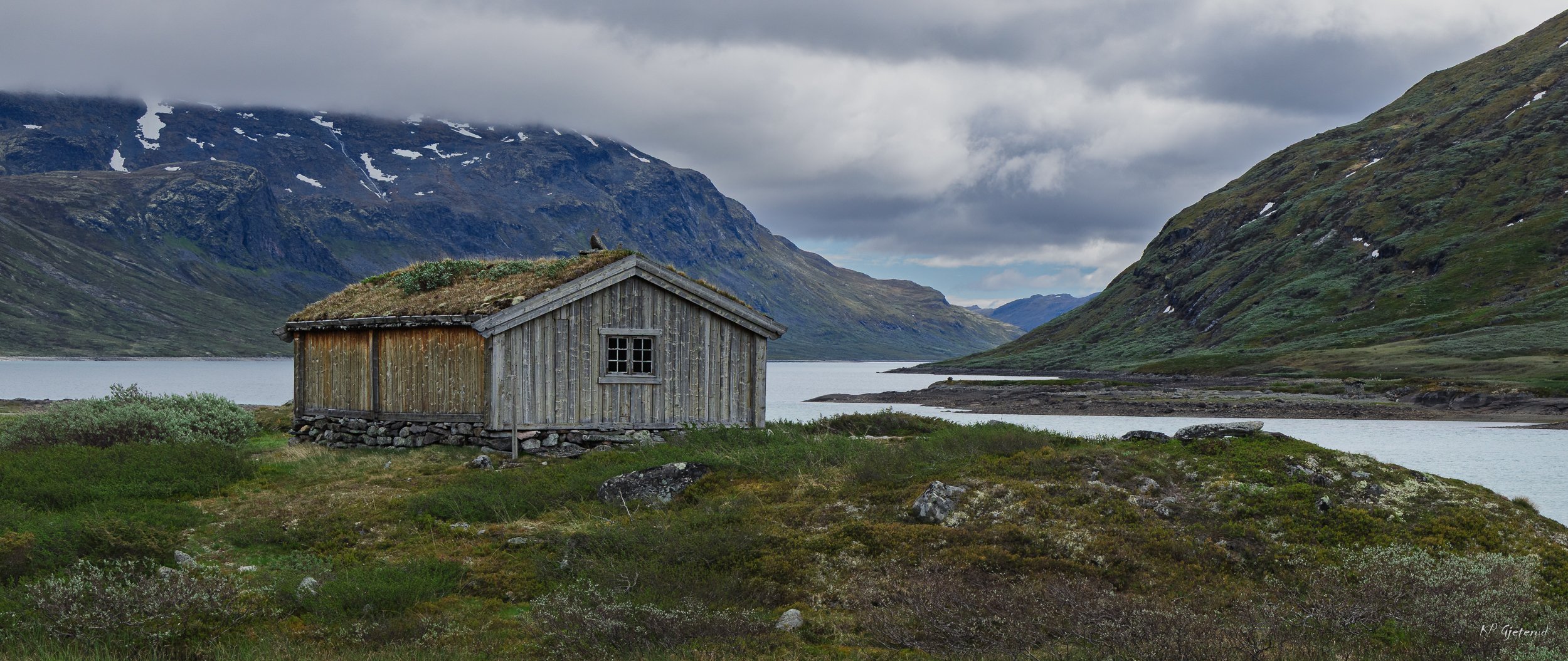 Tyinholmen juni 2026-5.jpg