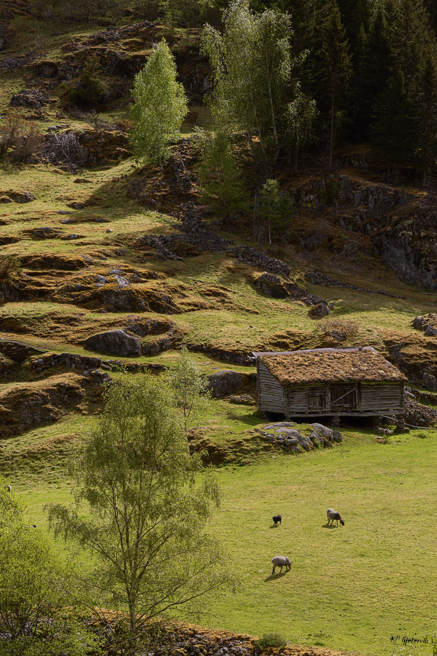 Sogndal and Hemsedal