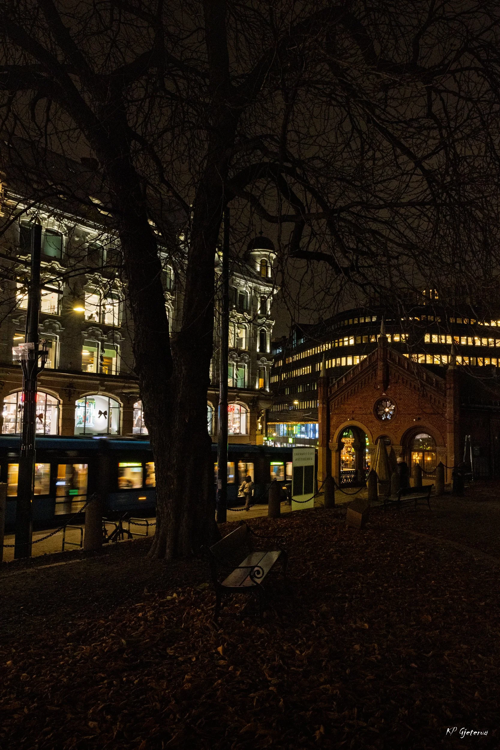 Oslo nov 2025-4.jpg