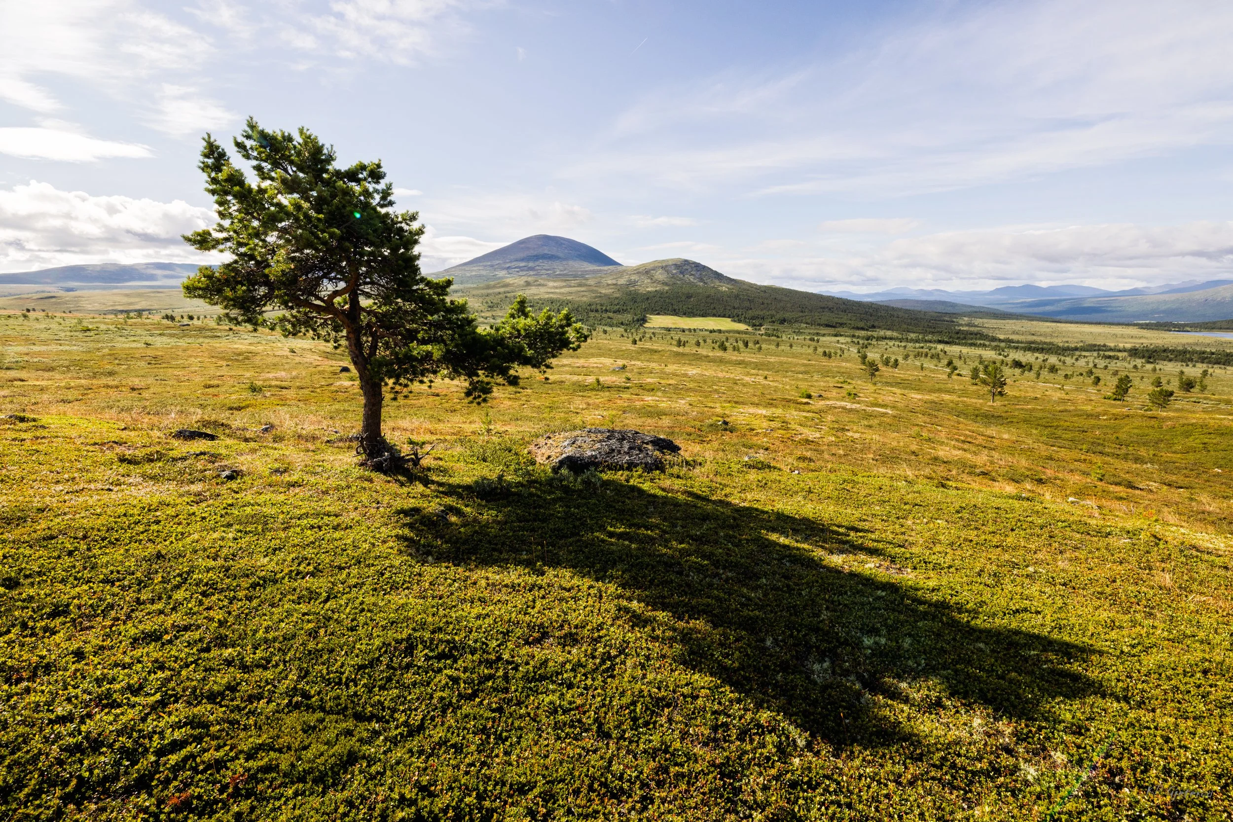 Mot Mukampen Heidalsmuen