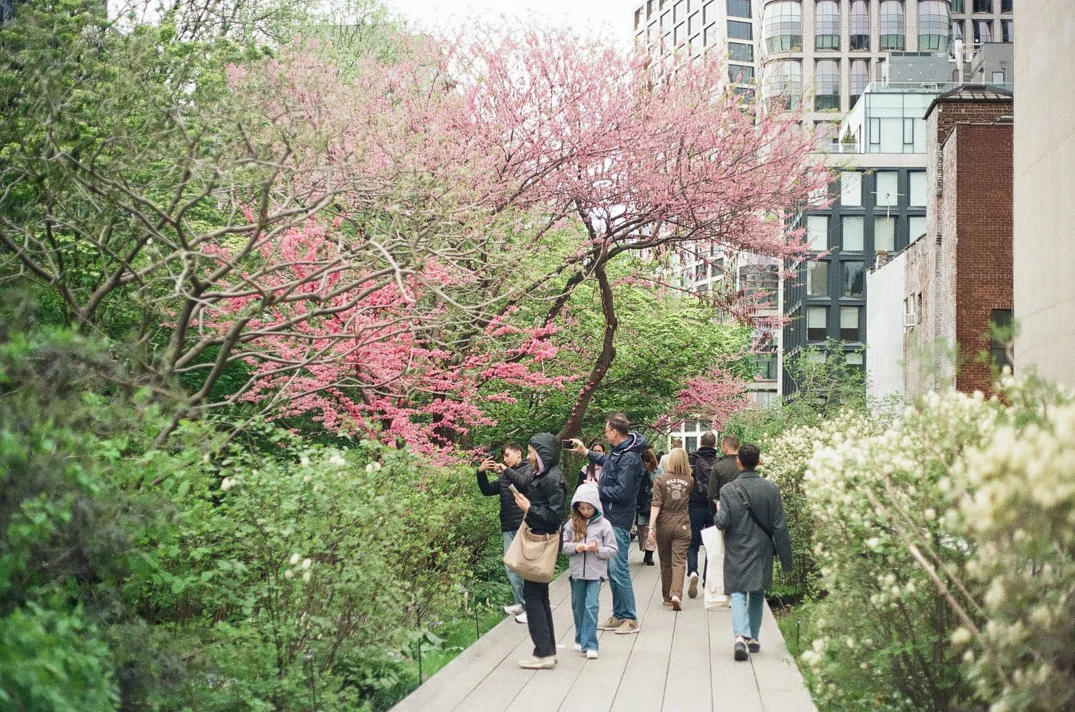 Life in the age of “good for you”