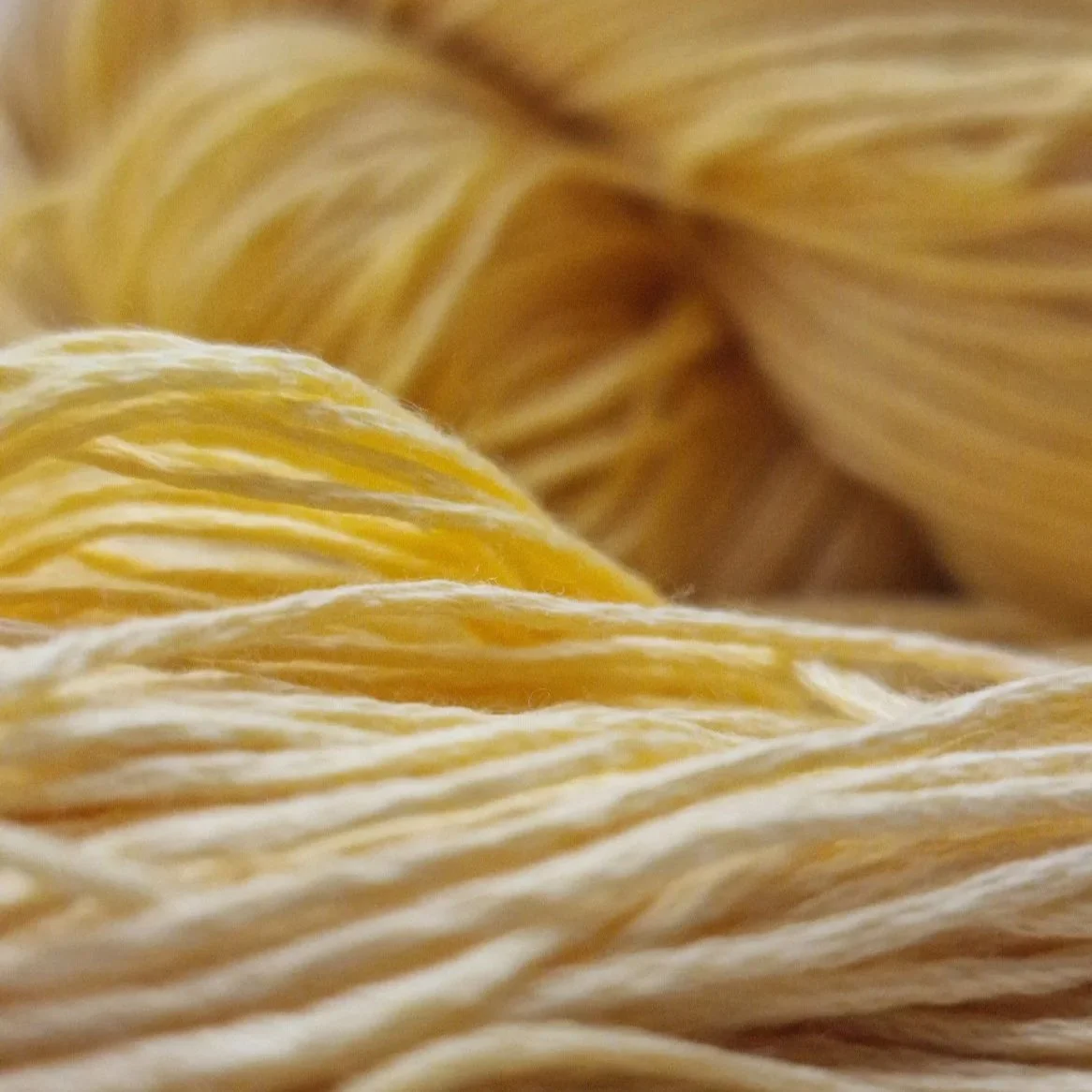 Handgefärbtes Lyocell Garn im Farbverlauf von einem weichen Sandbeige zu einem warmen Gelb auf hellem Untergrund