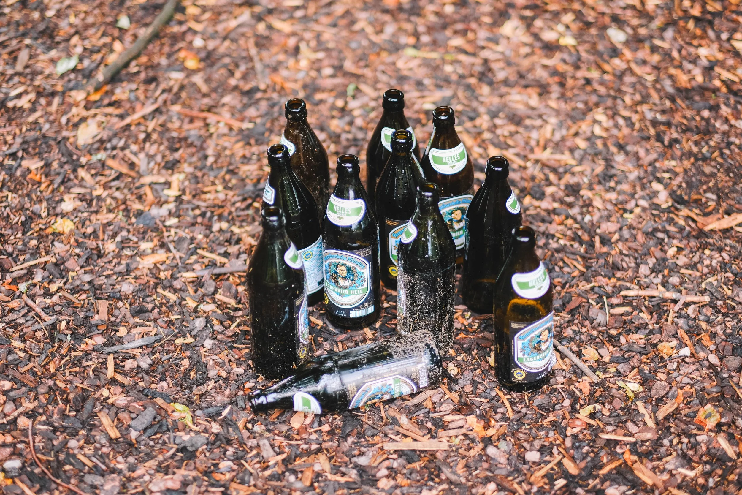 Empty beer bottles on a ground covered with mulch