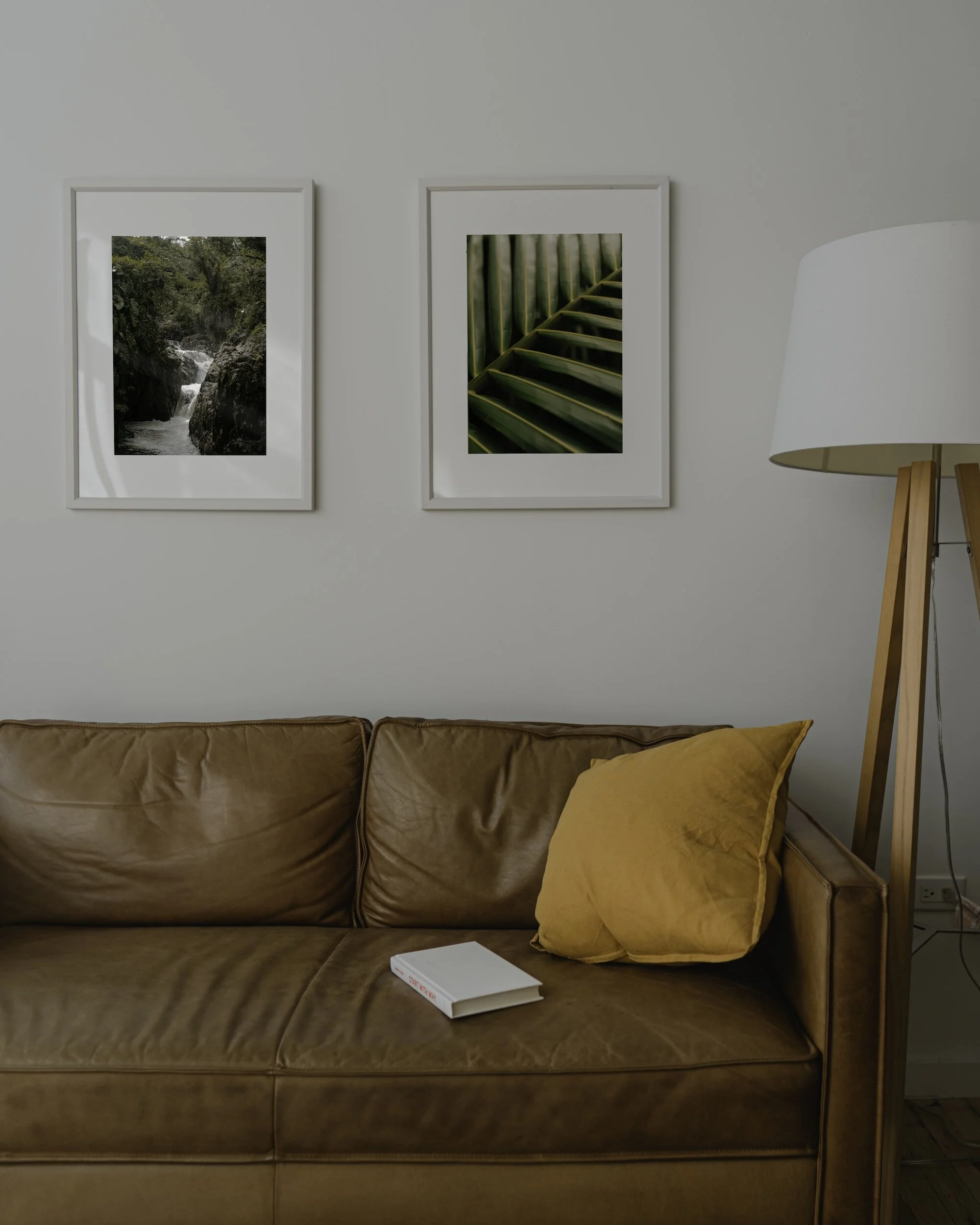 Elevated furnishings and modern designs.