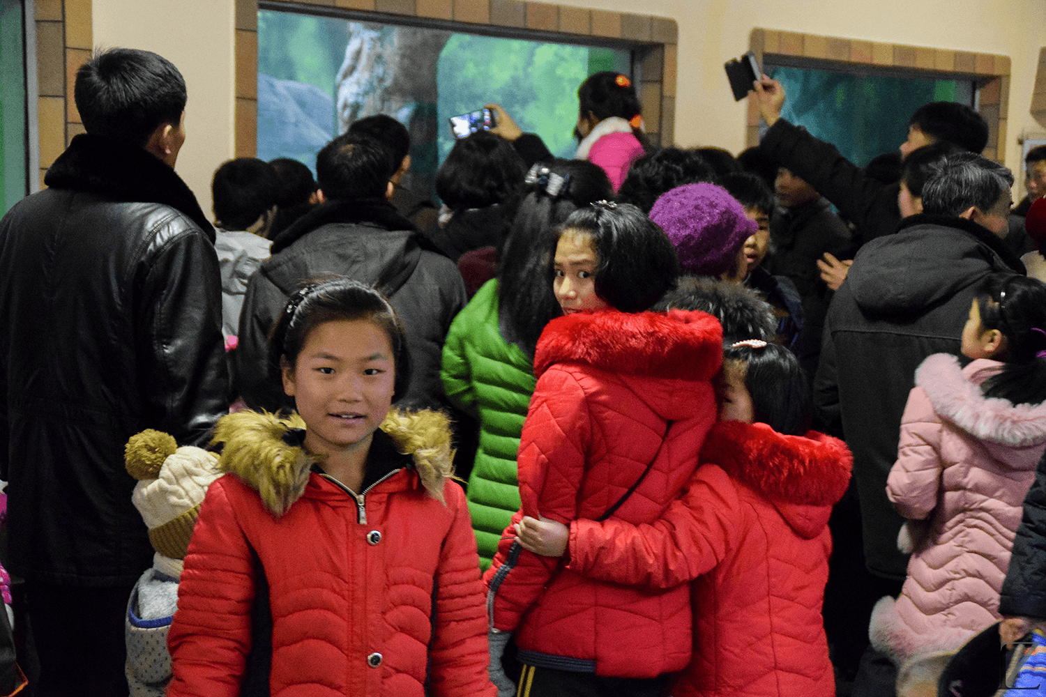How children’s curiosity almost always wins