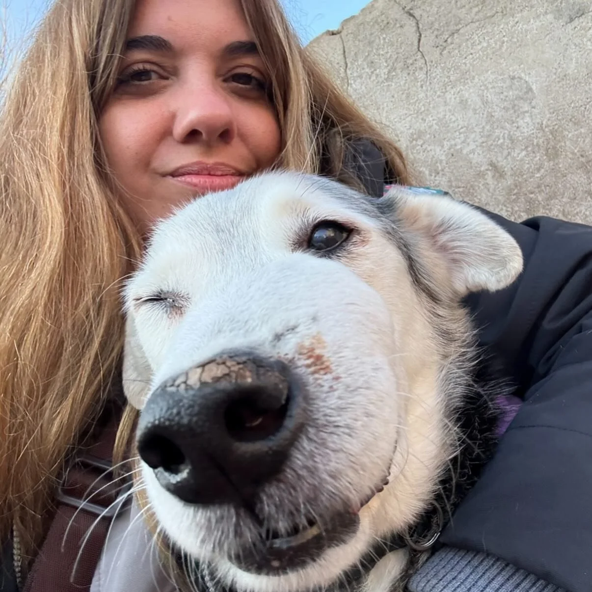 (English below)
❤️&zwj;🩹Con mucho dolor en el coraz&oacute;n comparto que Milo ha fallecido.
El viernes pasado, el c&aacute;ncer result&oacute; ser demasiado agresivo y avanz&oacute; mucho en las &uacute;ltimas semanas. El tumor era inoperable y hab