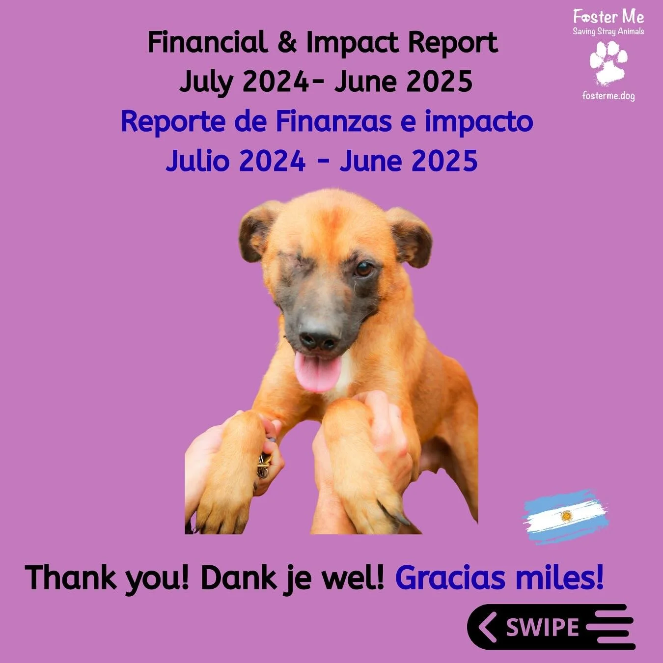 (Espa&ntilde;ol debajo)
📈🐾 Here is our second financial and impact report, covering July 2024 to June 2025!
All the funds we sent, all the animals we helped &mdash; take a look at what we achieved together.

💙 Thank you to everyone who made this p