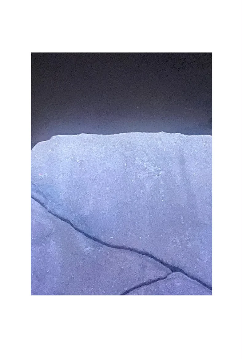 Siam Shrine: Transmissions - East of Eden / 
                        Video Installation 2026 