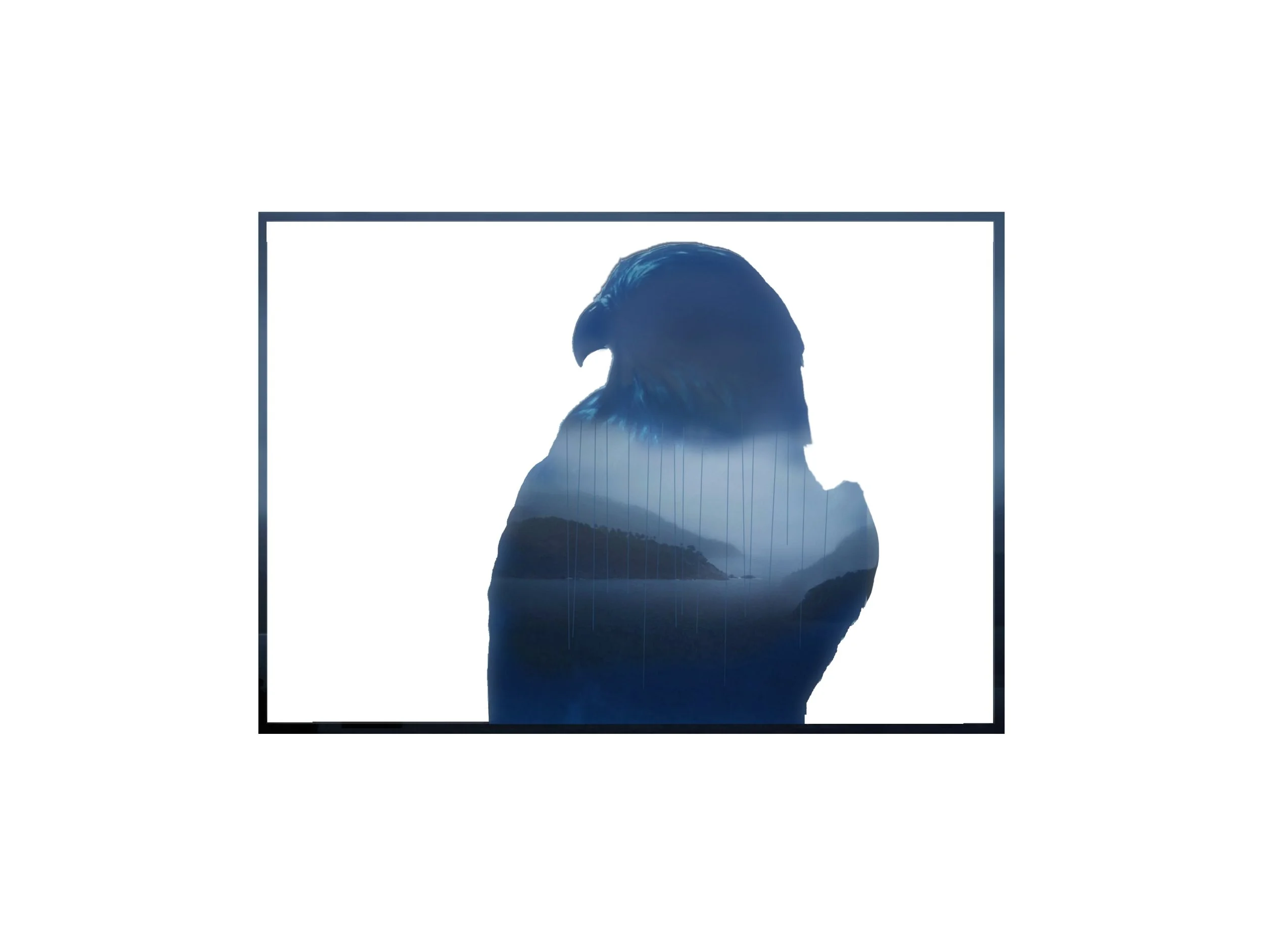 Rain Bird-Eagle 5.jpg