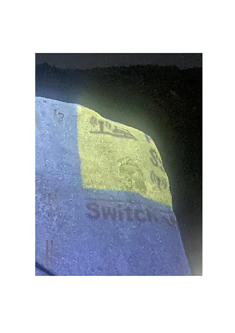 Siam Shrine: Transmissions - East of Eden / 
                        Video Installation 2026 