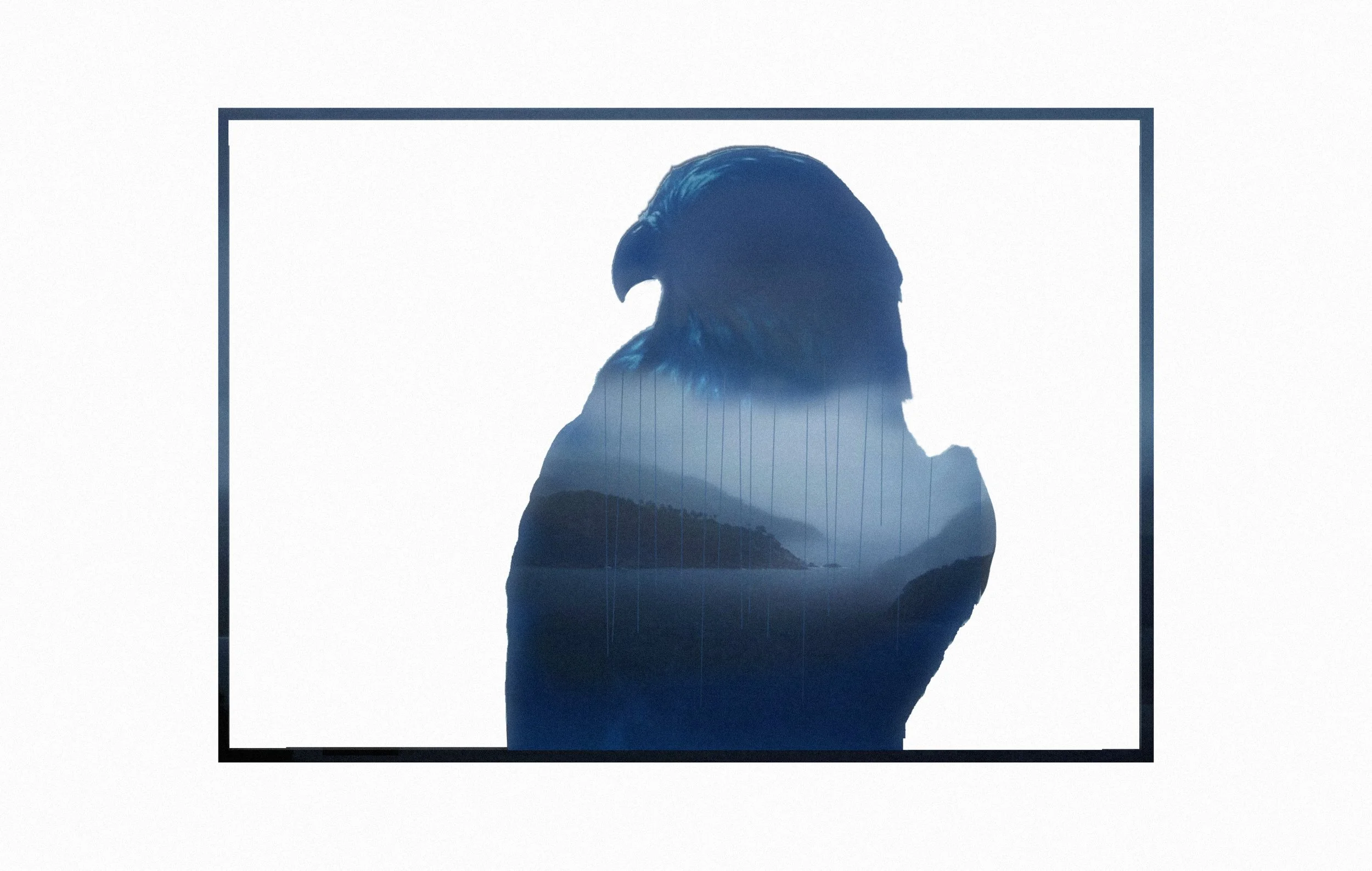 Rain Bird -Eagle.jpg