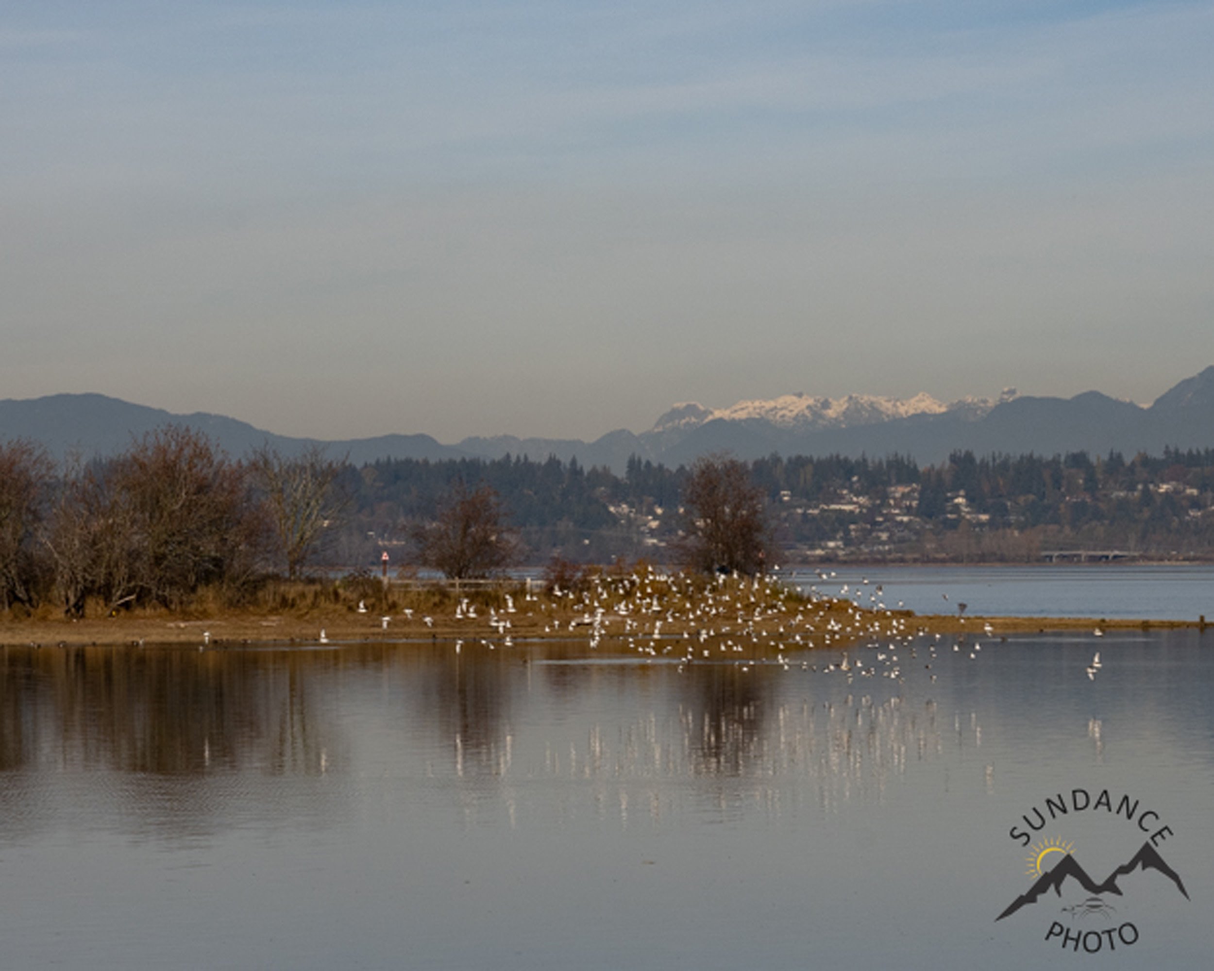 SD_301122-01.jpg
