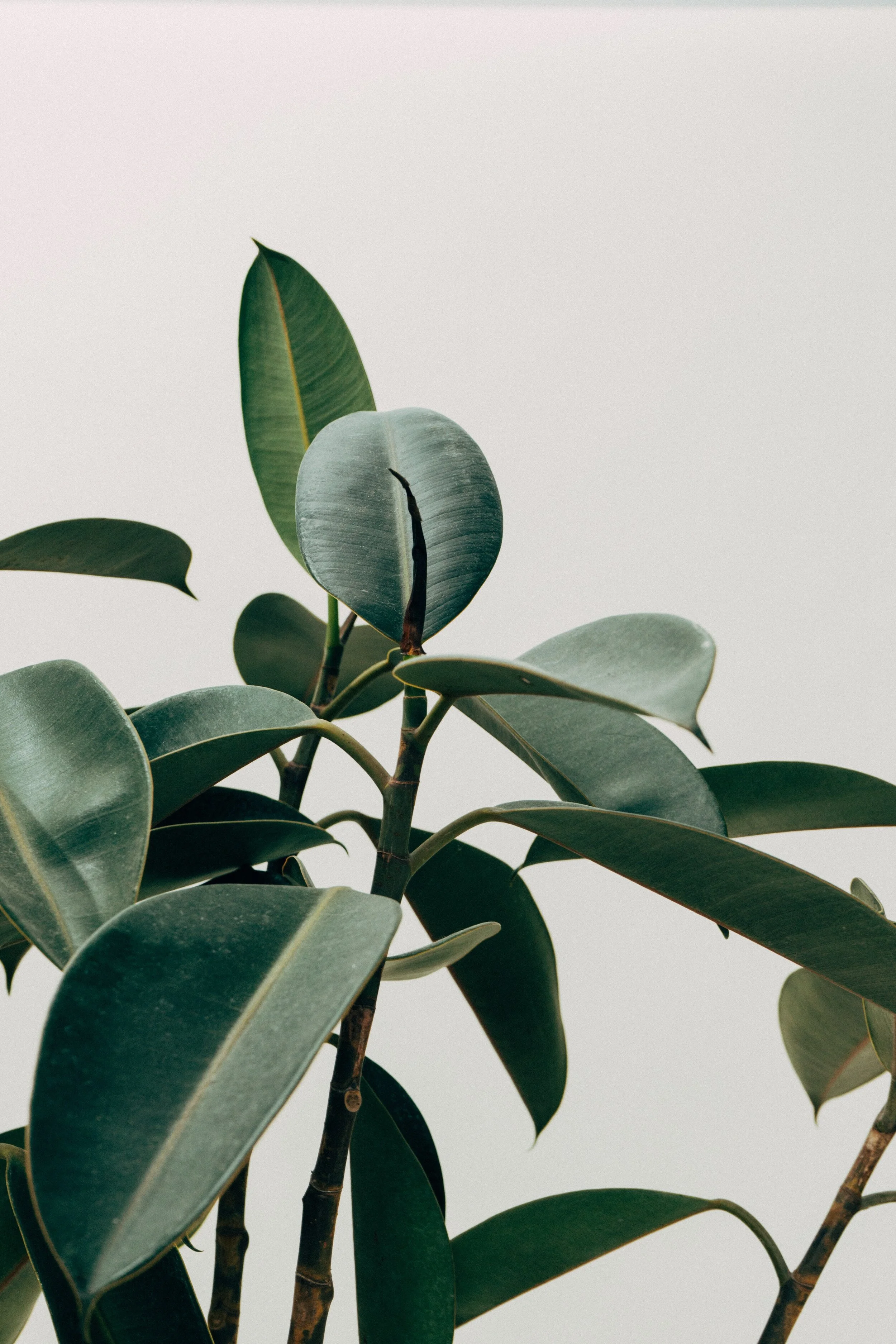 blog post two