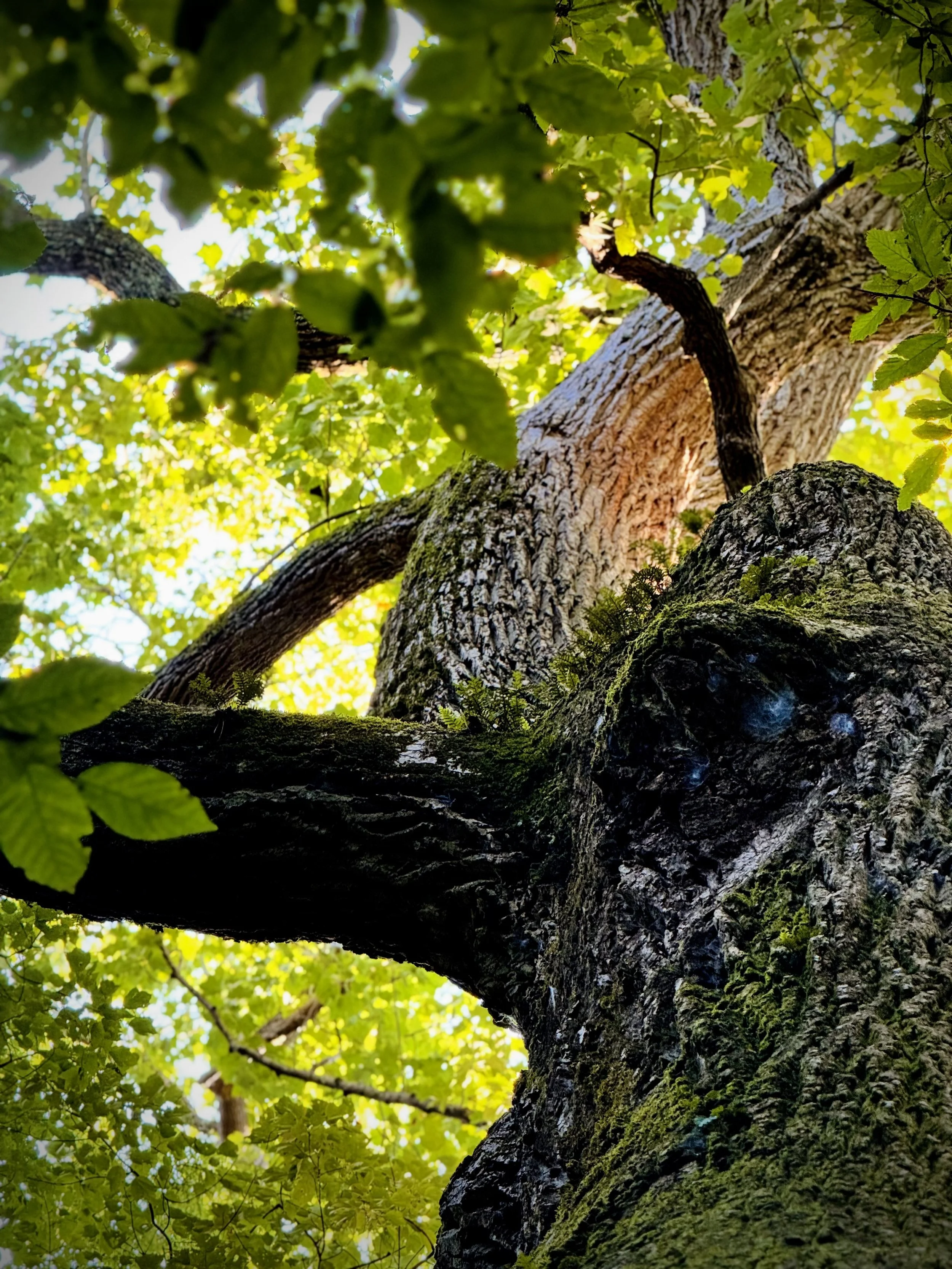 Art Hikes (4/11, 5/9)