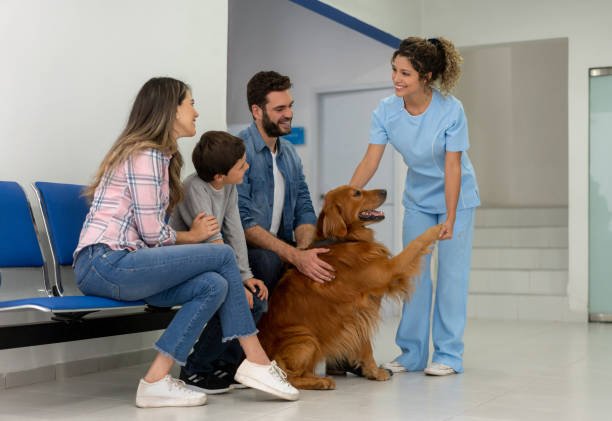 Veterinary Practice Growth in South Africa
