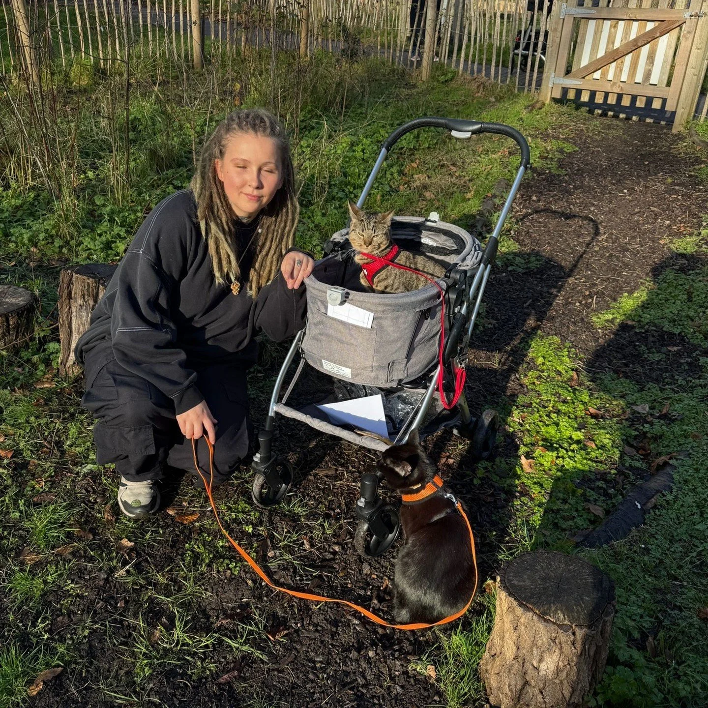 Taking in all the sun we can get
 𖤓 ｡𖦹&deg;‧ ⋆☀︎
ฅ^>⩊<^ ฅ