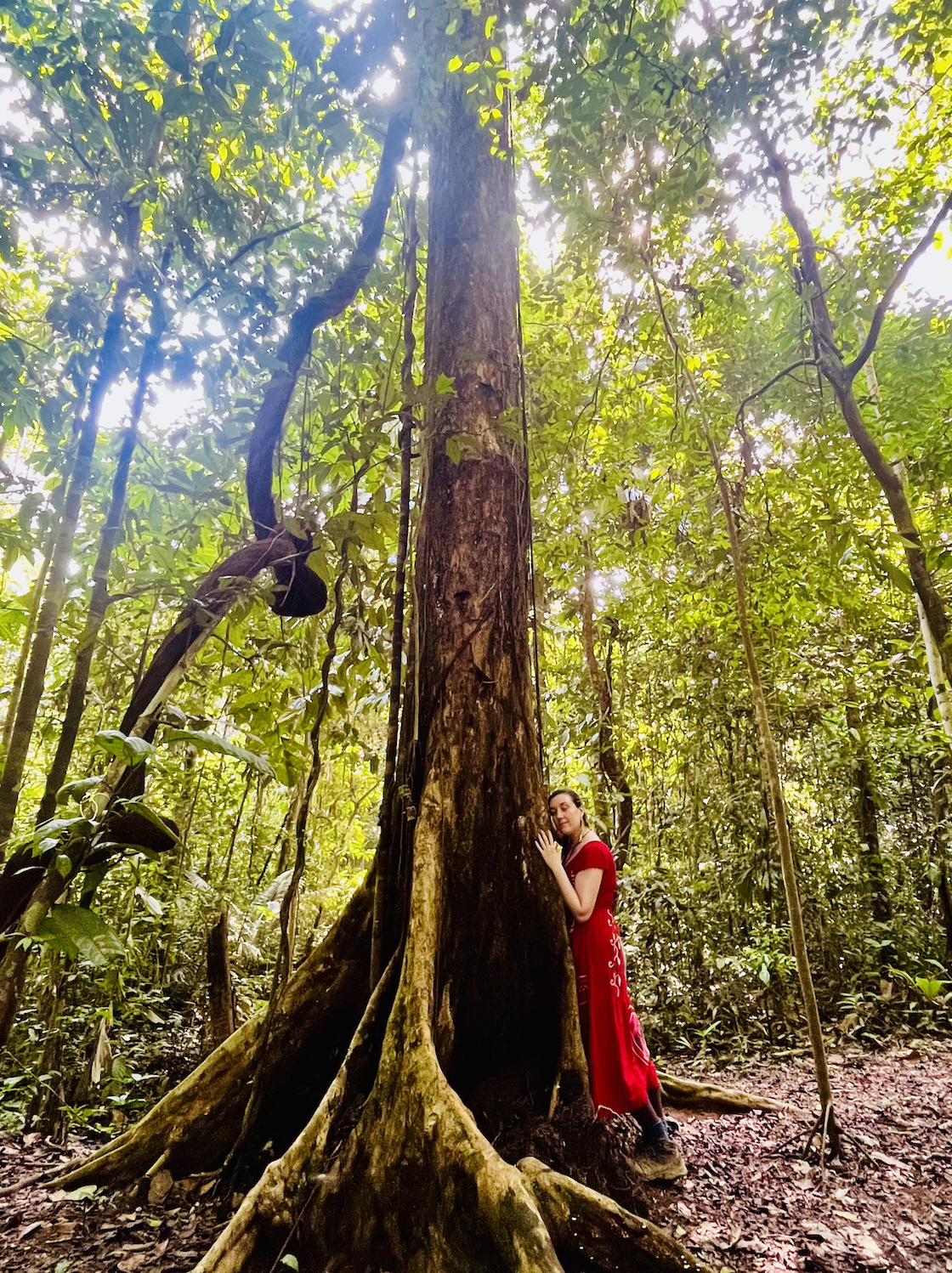 SACRED TREE